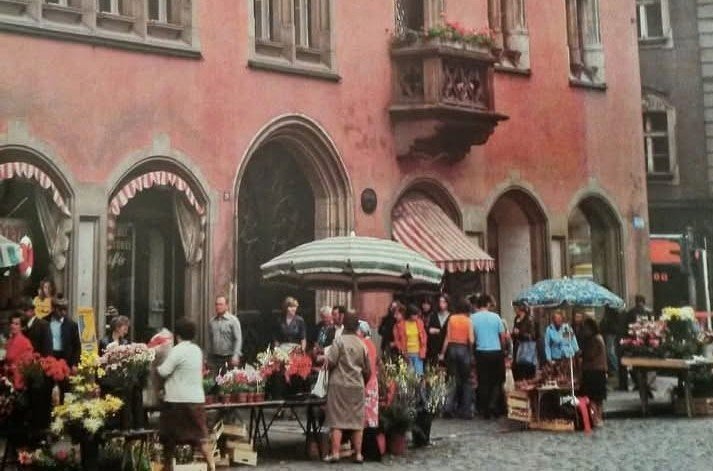 Die Verwaltung, unsere Sonne