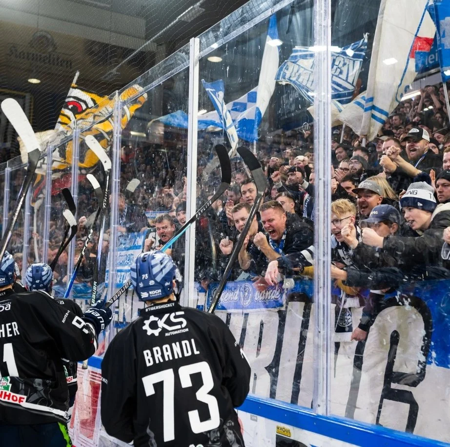 Angst, Wahnsinn, Zuversicht