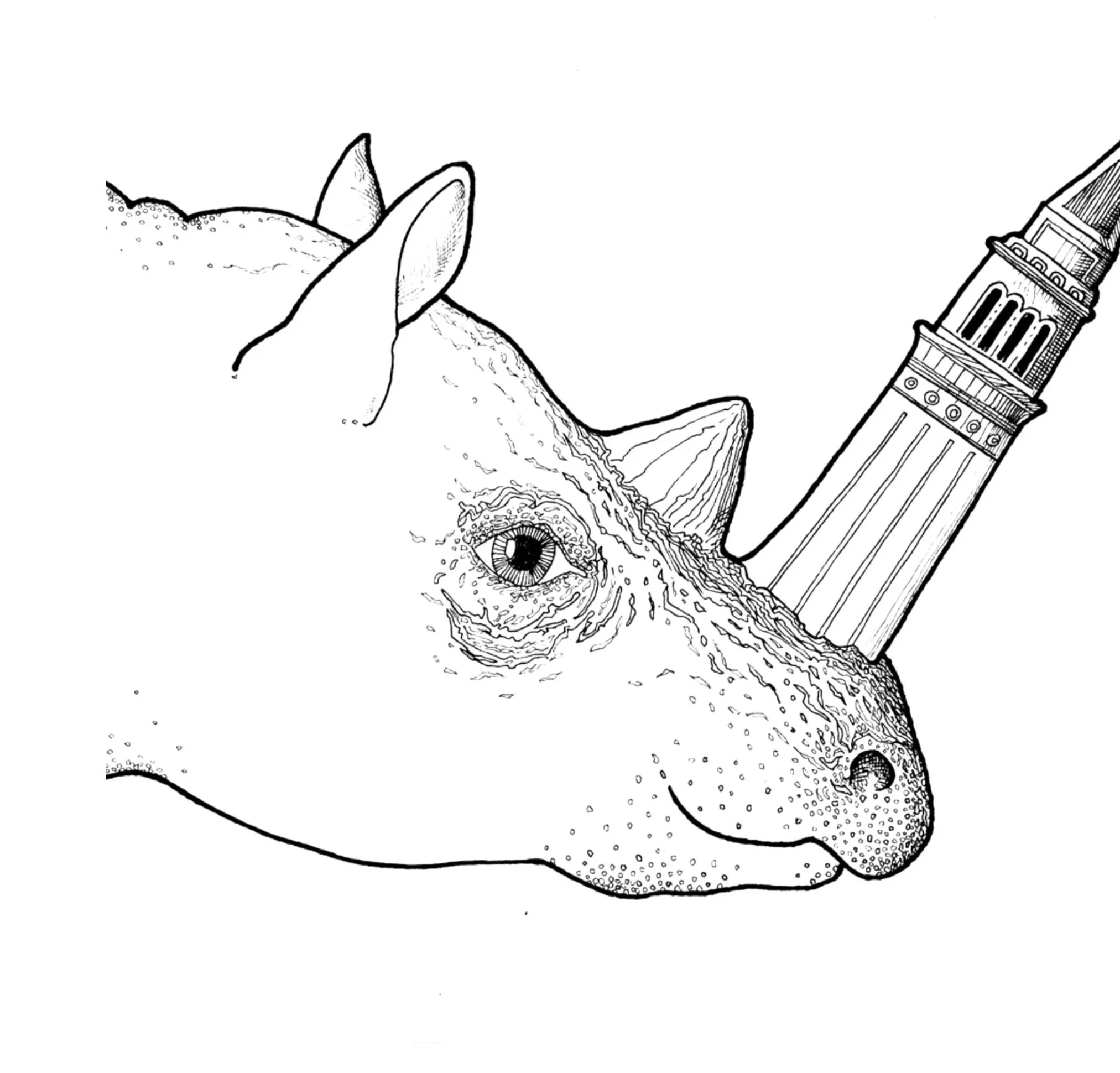 Rhinocerus Campanile Venezianus