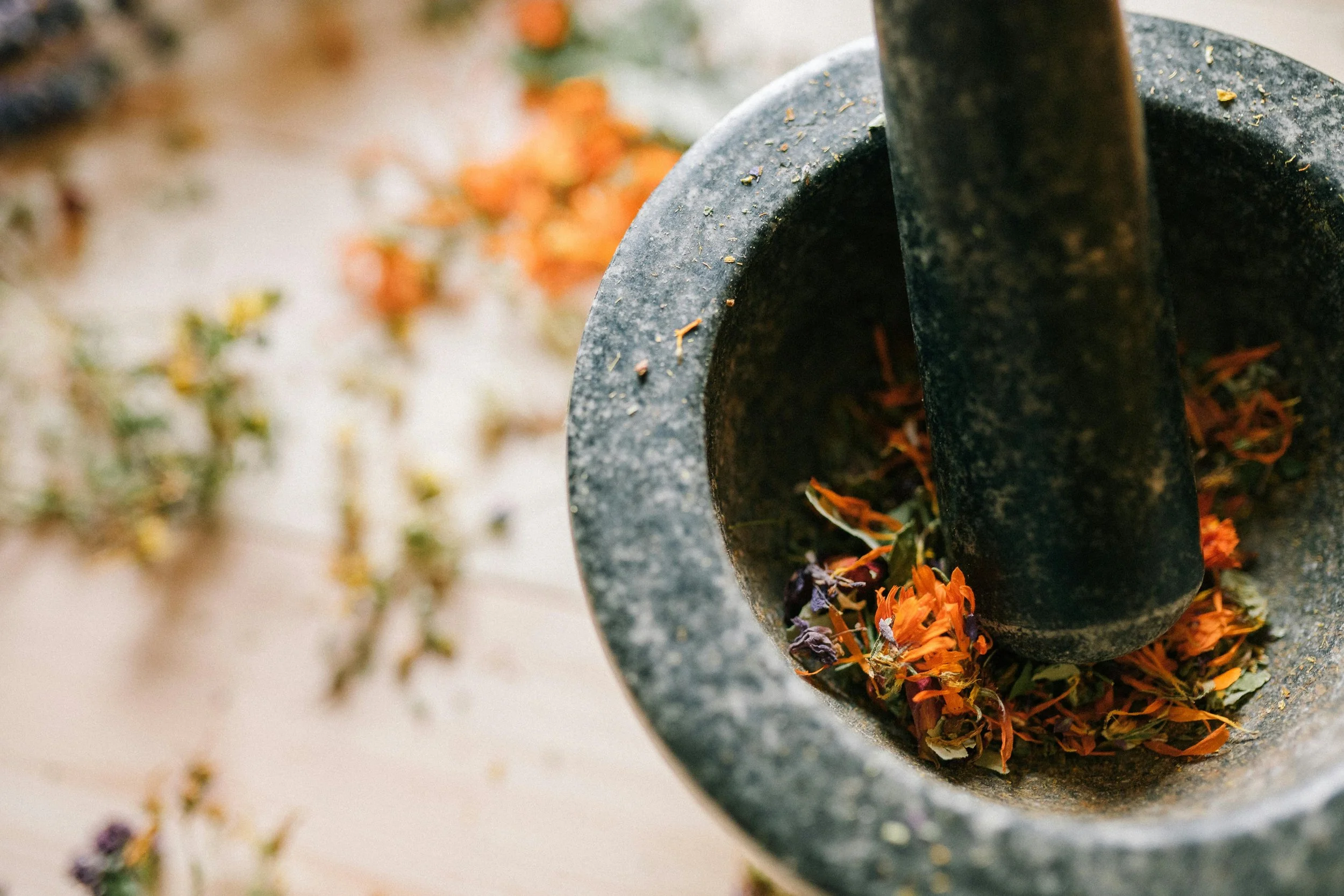 The Very Secret Society of Irregular Witches: A Beginner's Guide to Real-Life Herbalism