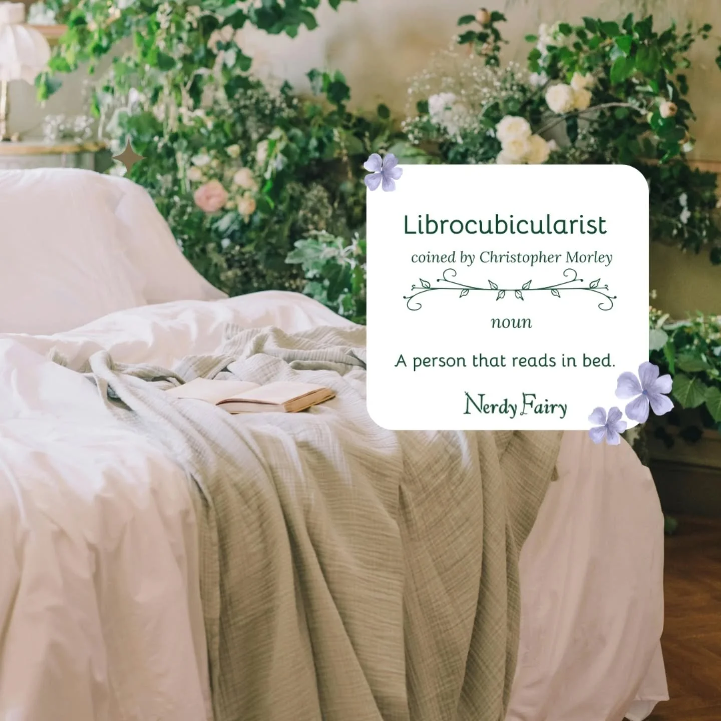 What genre do you prefer to read dear librocubicularist?

For me, those midnight reading sessions call for cozy fiction! Simply put, stories that feed my soul make for the best book friends in the middle of the night. And I am grateful for this genre