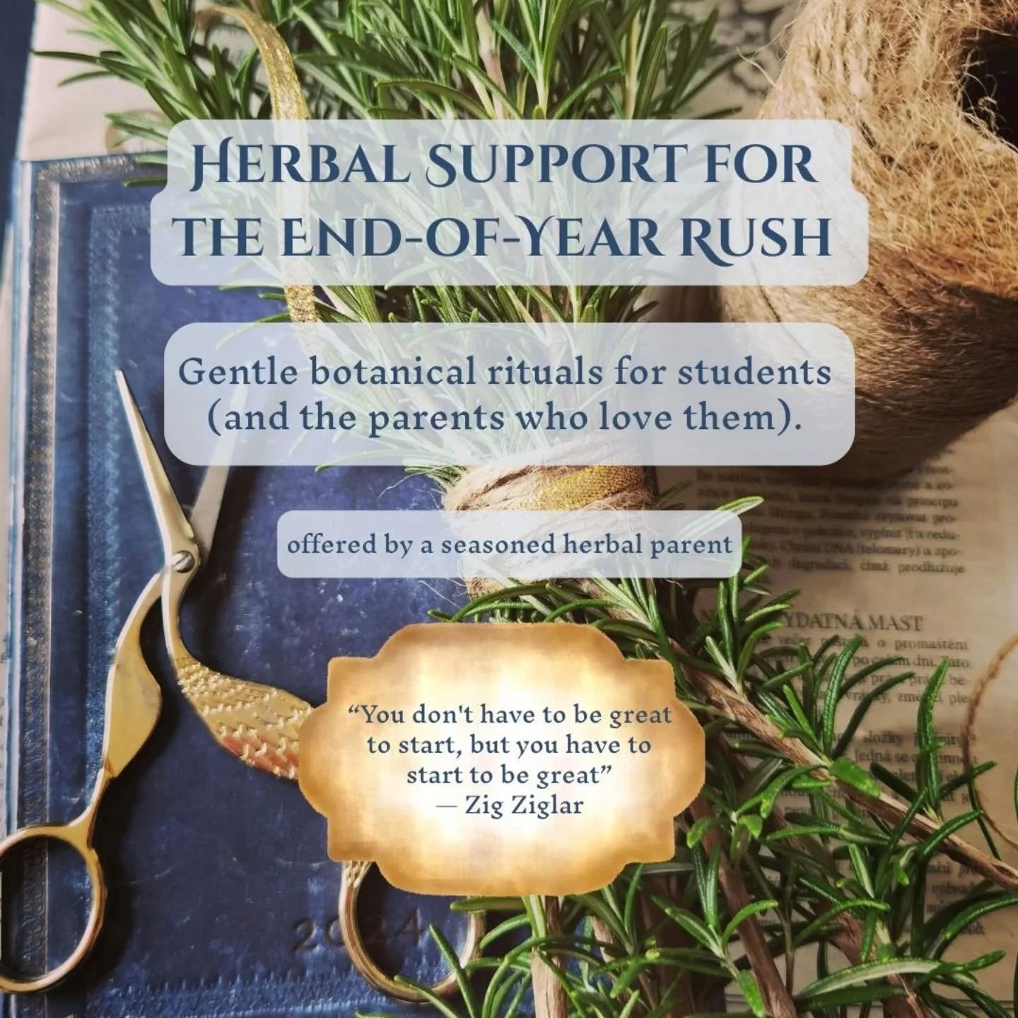 Over the years as an herbal parent, I have discovered these tips and tricks that worked well for my children and I hope they help you too as you finish the adventure of the school year! 

🌿🫖Student Support Tea Blend🫖🌿
This makes one big mug of te