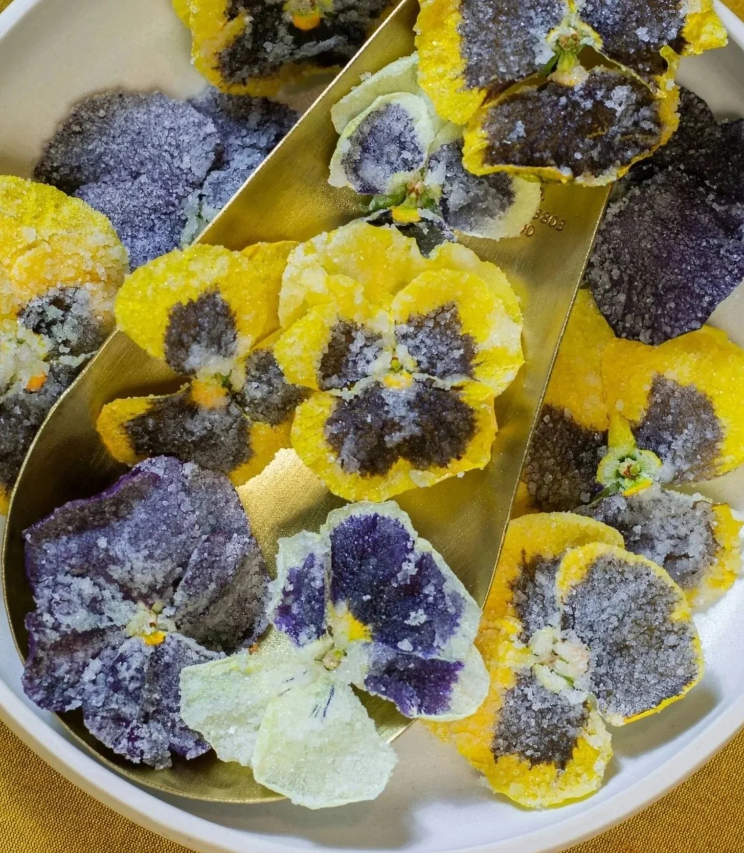pansies candied with sugar