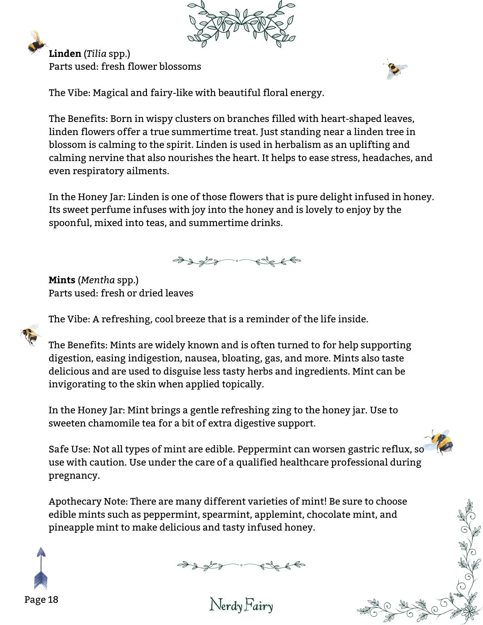 A materia medica page for crafting herbal infused honey