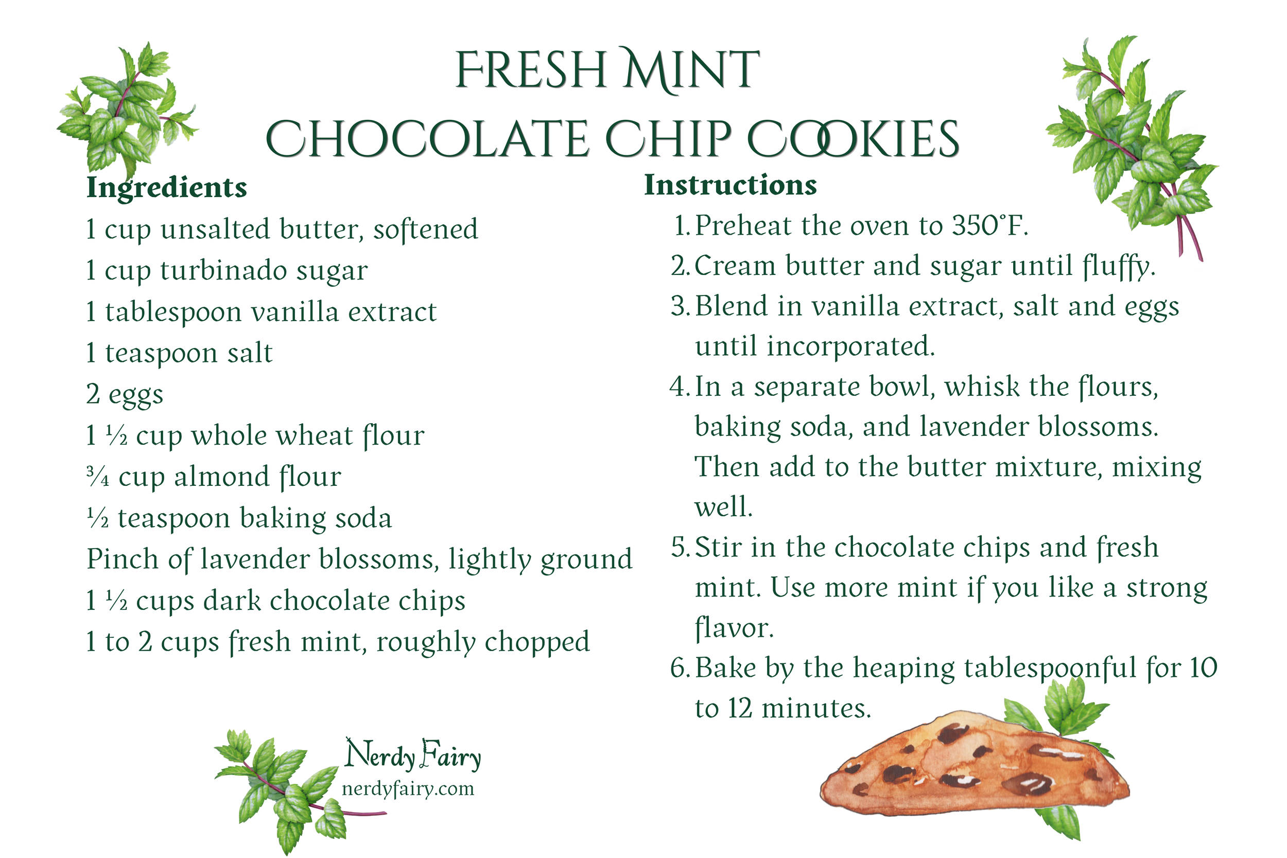 Recipe card with ingredients and instructions for making chocolate chip cookies with fresh mint