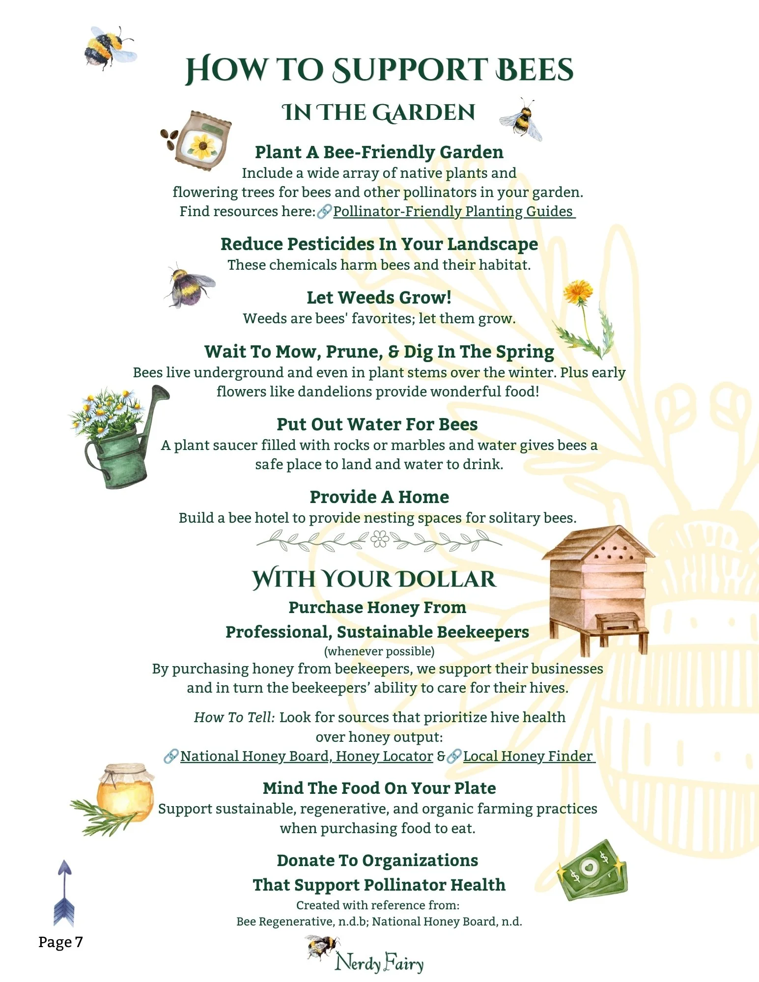 A graphic showing various ways to help bees