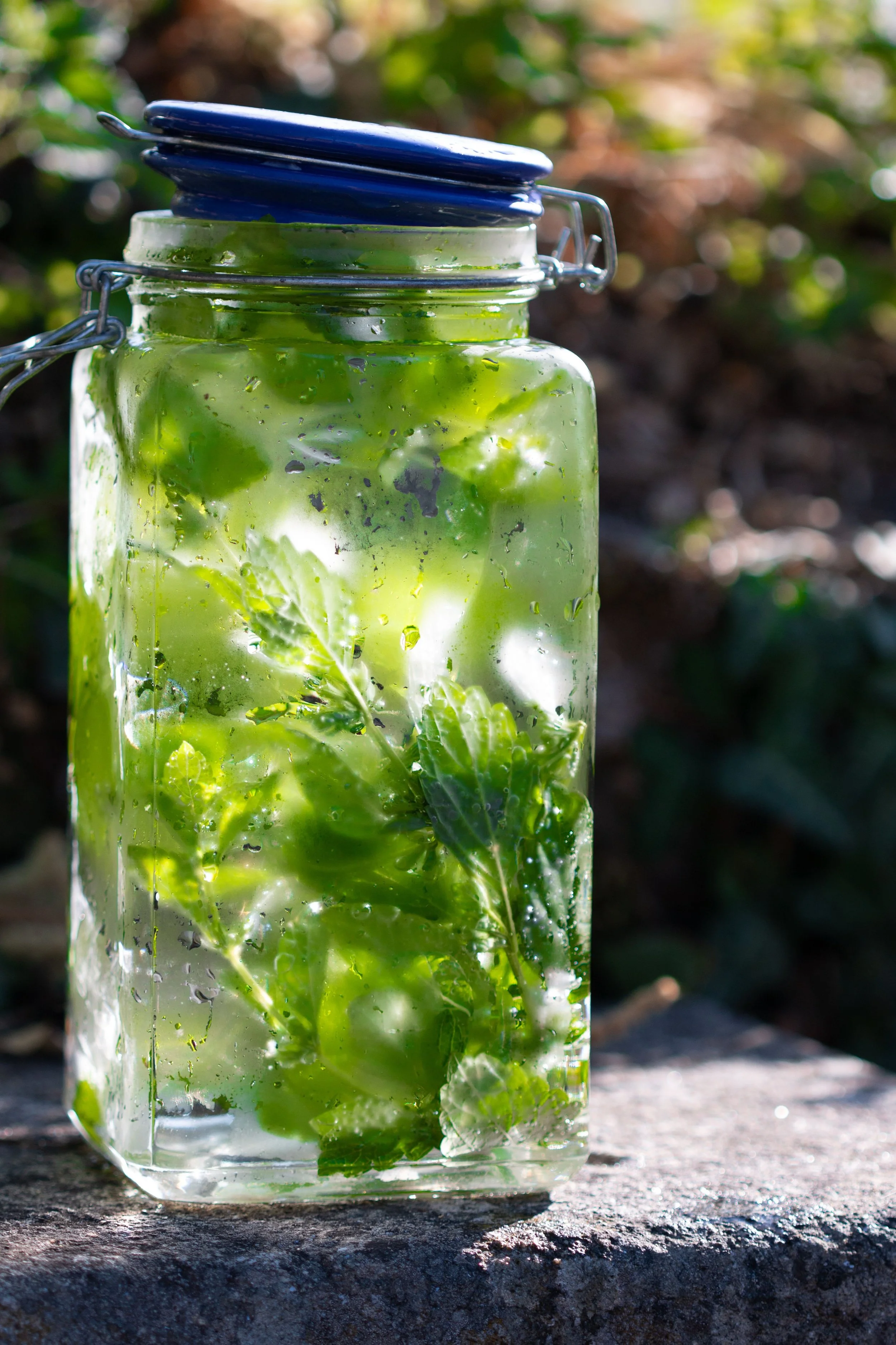 Fresh Mint infusing in Water