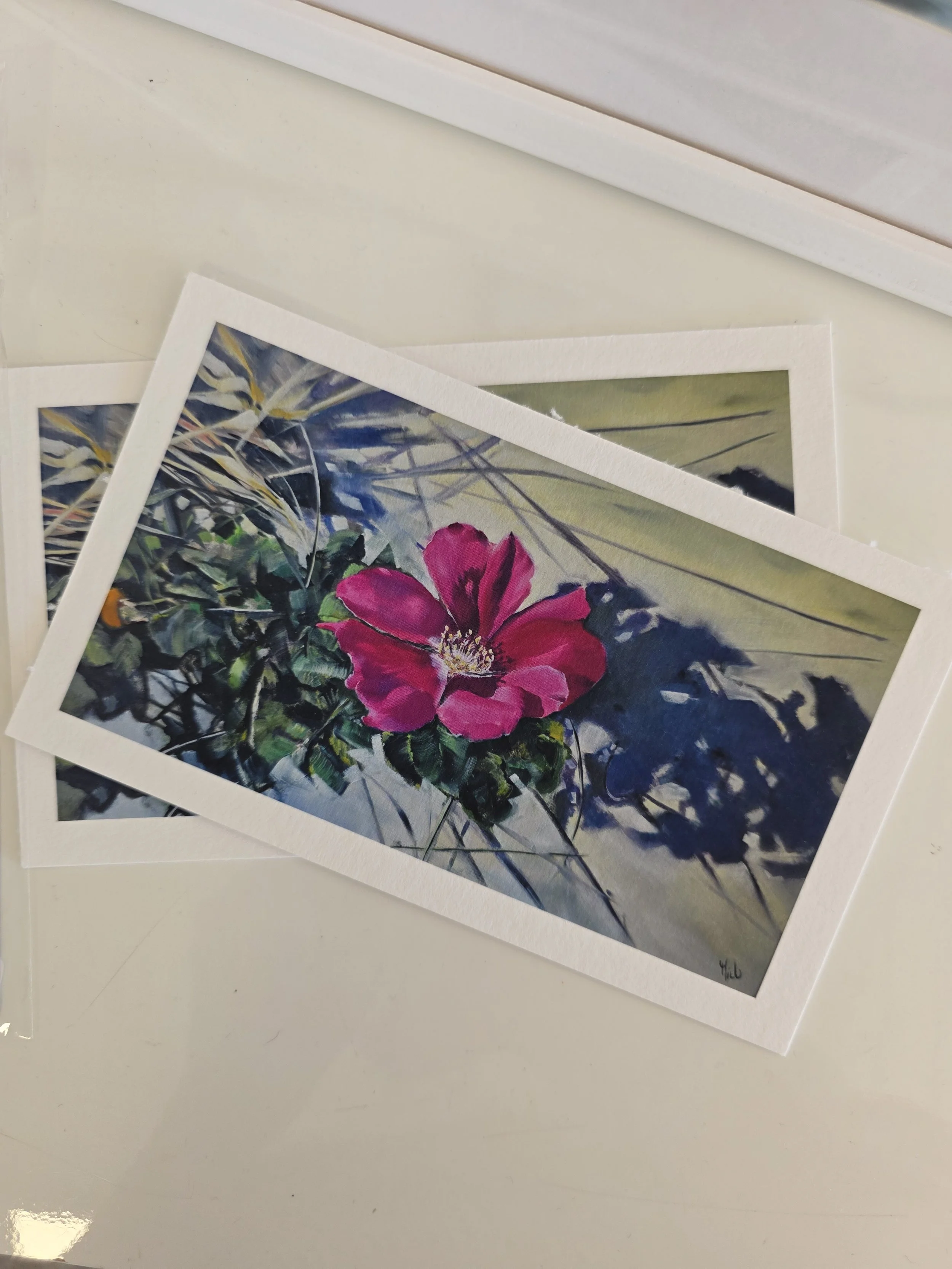 Kopie von 20250704_164911.jpg