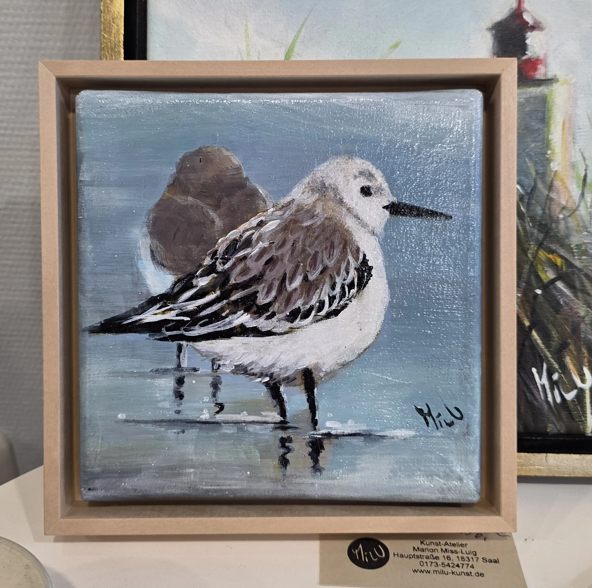 "kleiner Sanderling" 15x15cm,-verkauft
