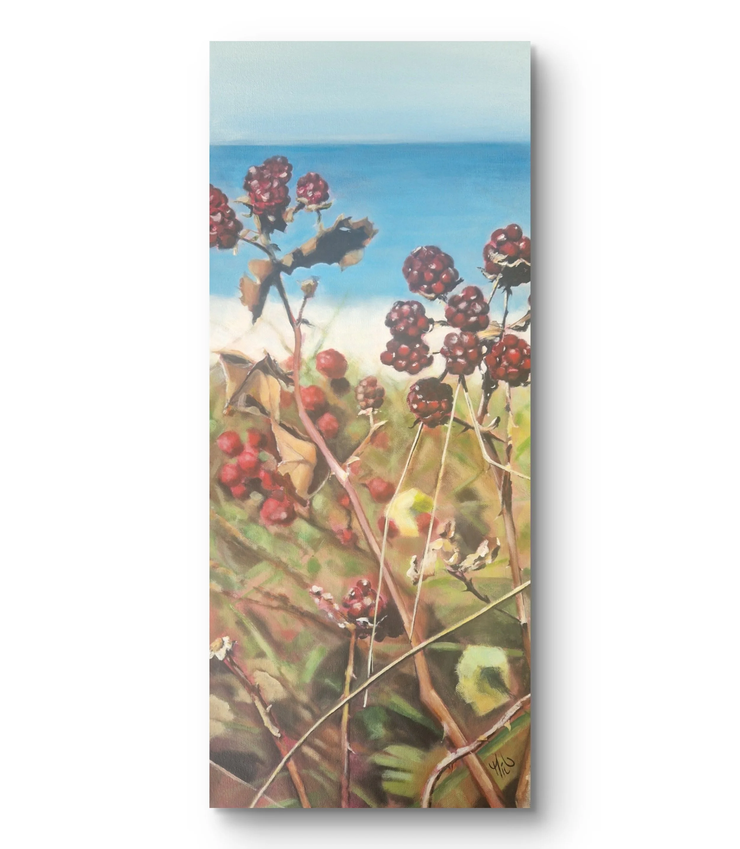 Brombeeren am Weststrand