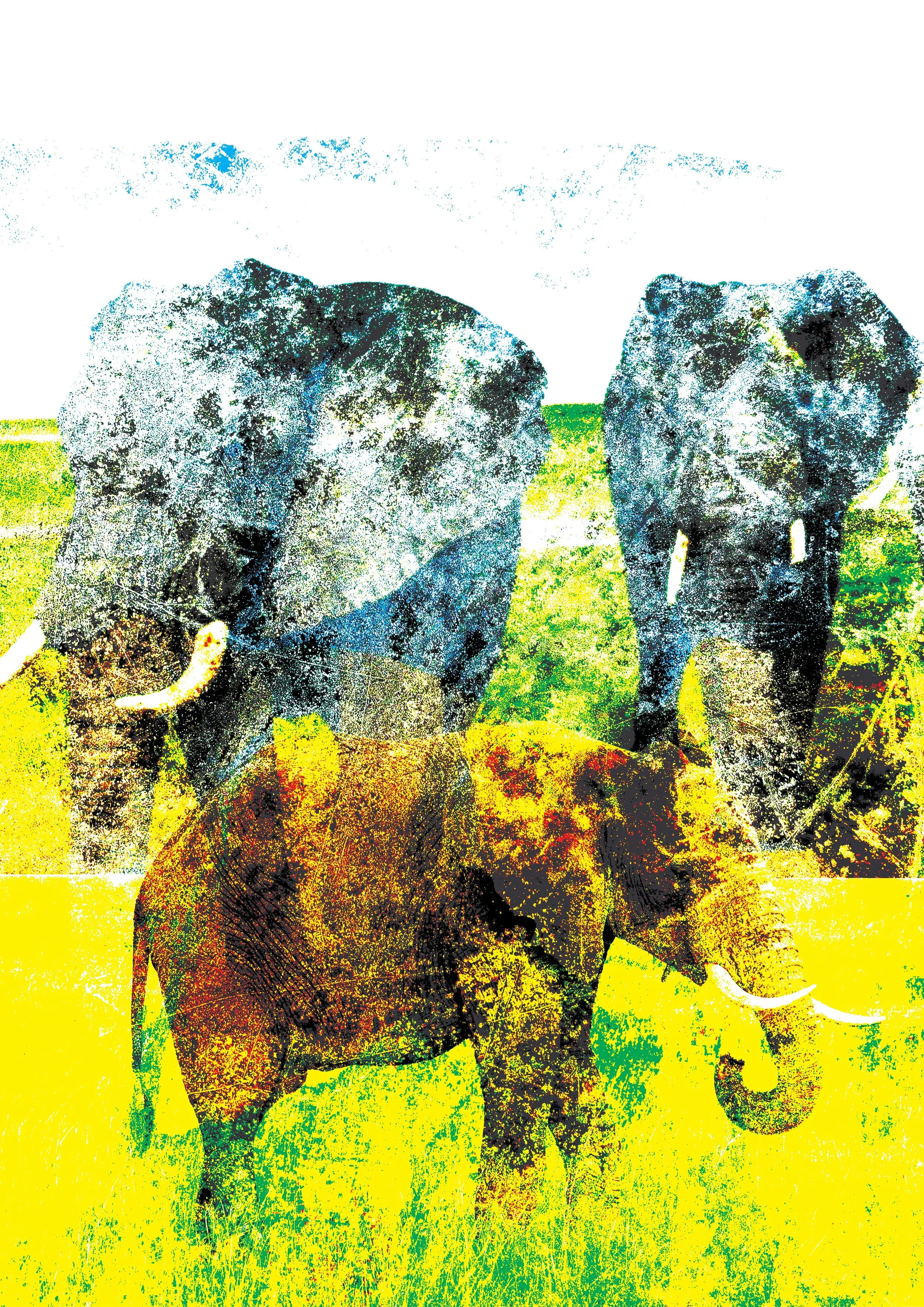 elephant 1.jpeg