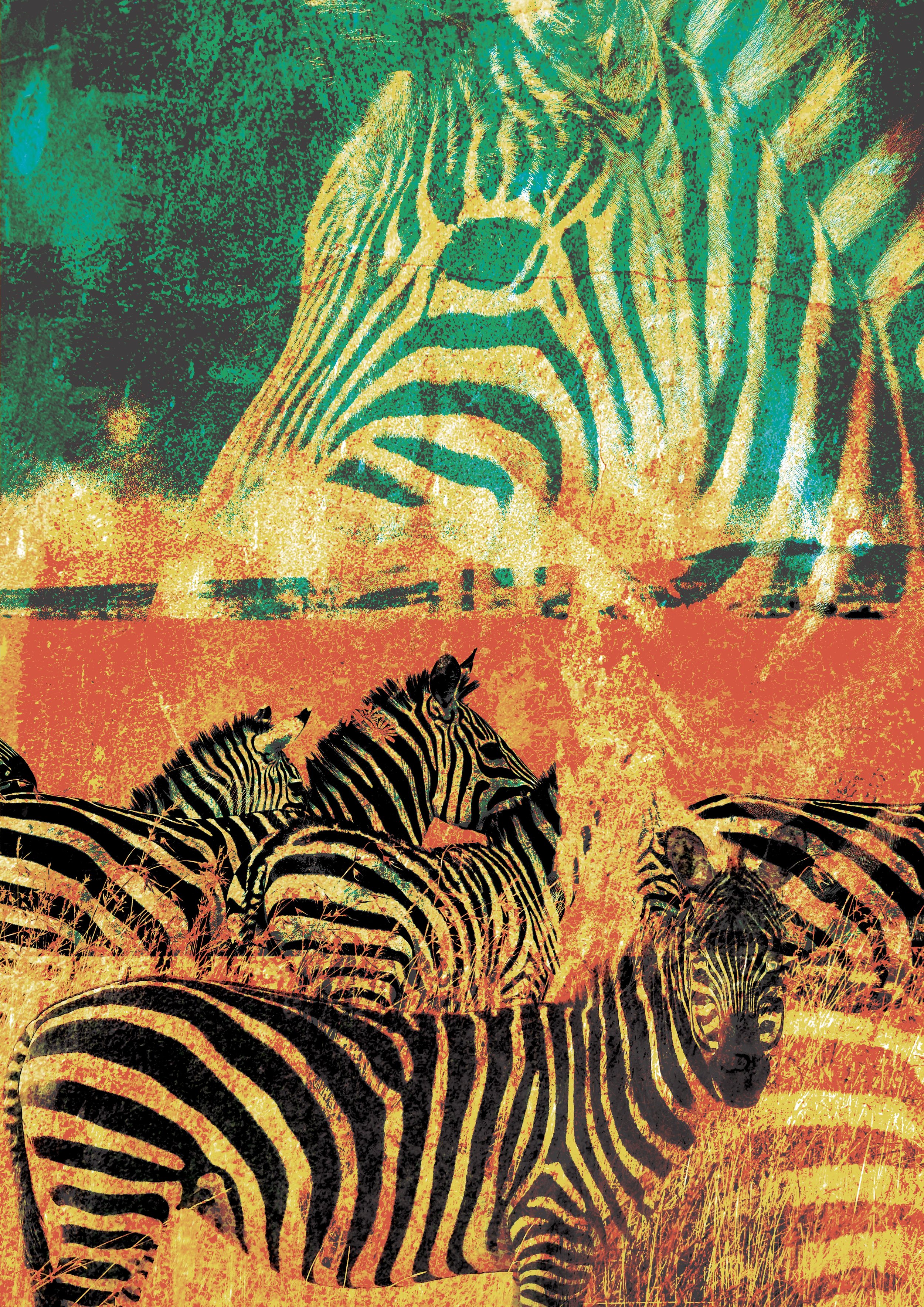 Zebra.jpeg