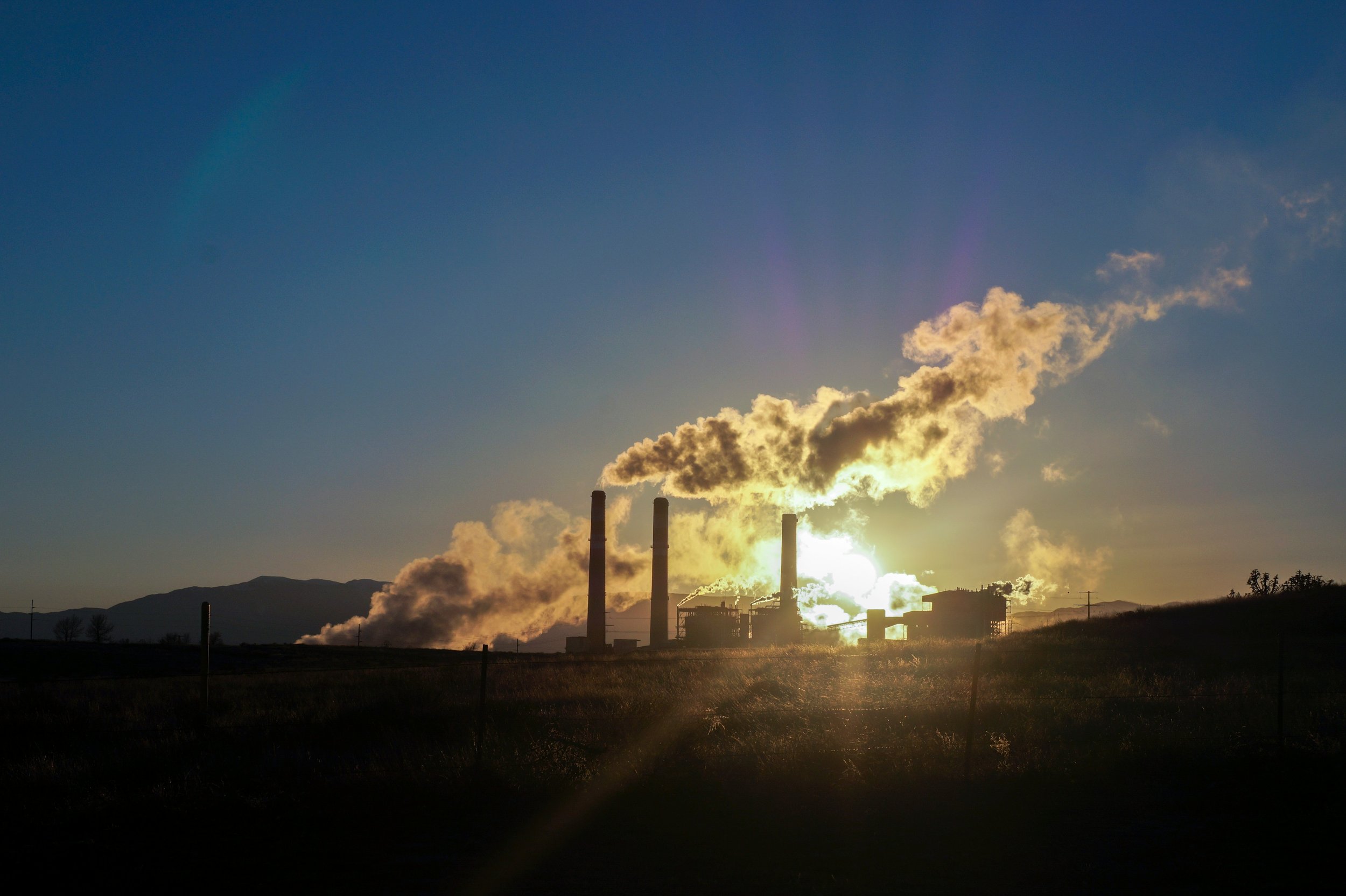 Revolutionising Carbon Capture: An Alternative Method of Carbon Capture