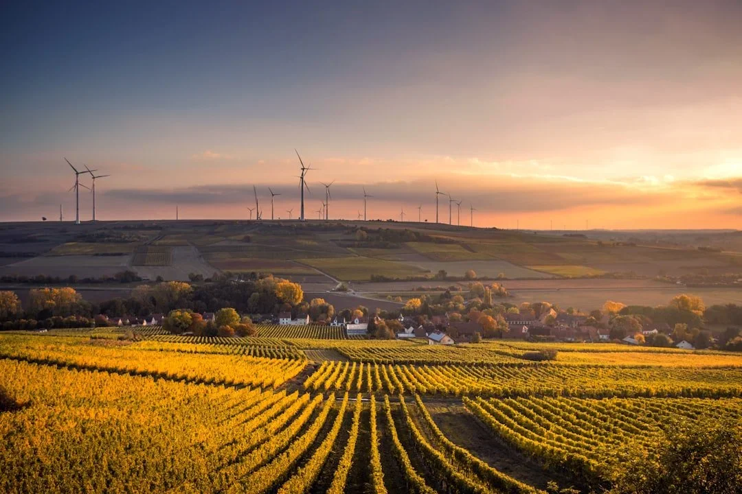 The Energy Storage Gap: Why Long-Duration Is the Missing Piece of the Transition