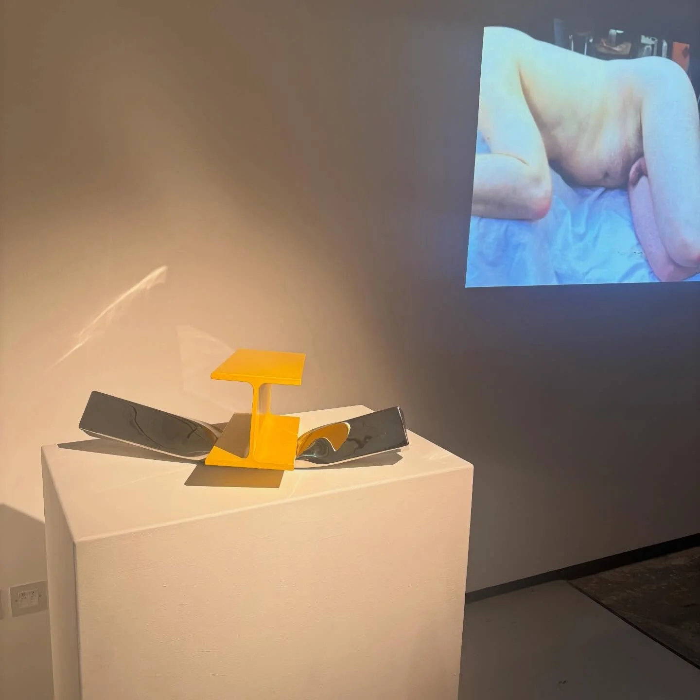 I&rsquo;m really pleased to be part of PELHAM HALL @ 50 @morleygallery beautifully curated by Sheila Vollmer and Alexandra Harley. 

I got a job teaching sculpture on the foundation course @morley_college at the tender age of 24 and continued working