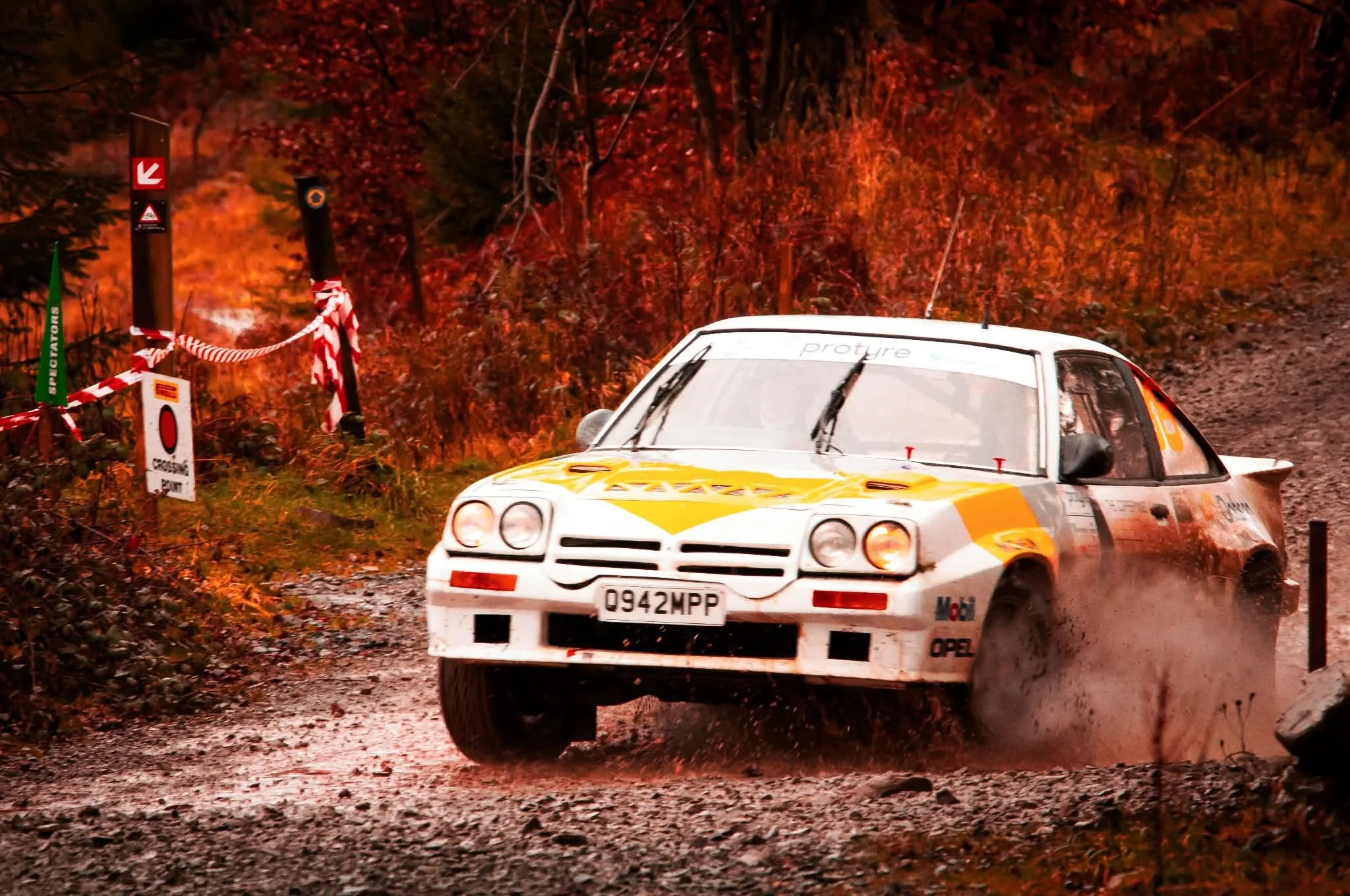 29aaf46d-9e9a-4404-926f-8c0f40812cfd (1).jpg