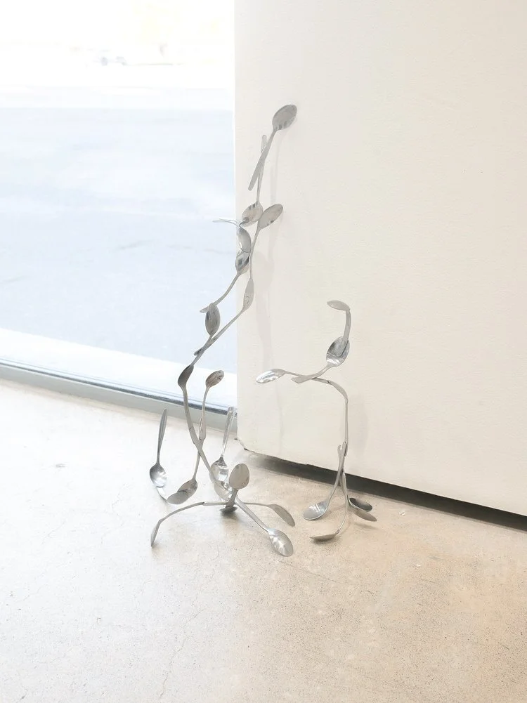 Scoop and scatter, 2025. Photo: Aala Nyman.