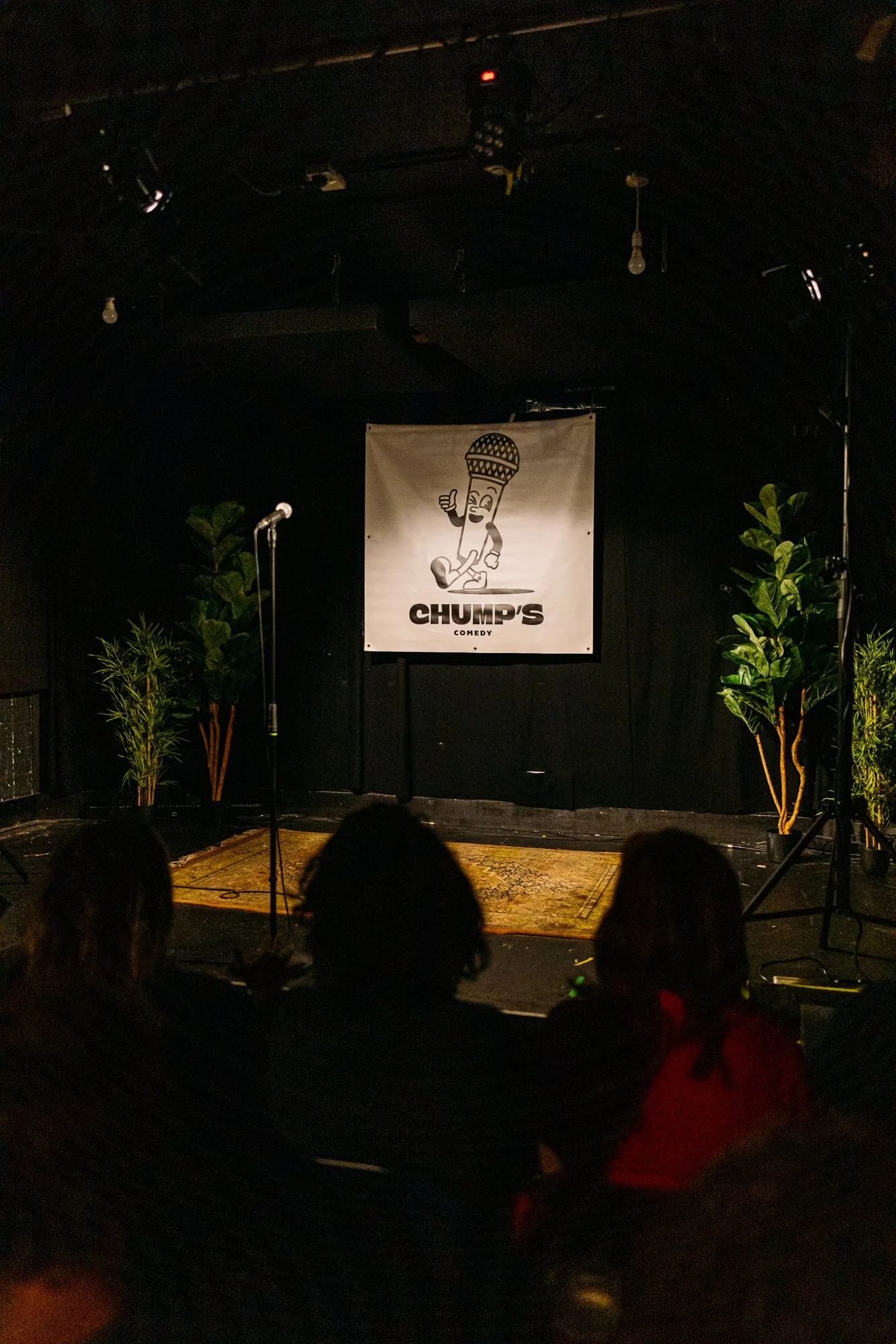 Atmos Ferns.jpg