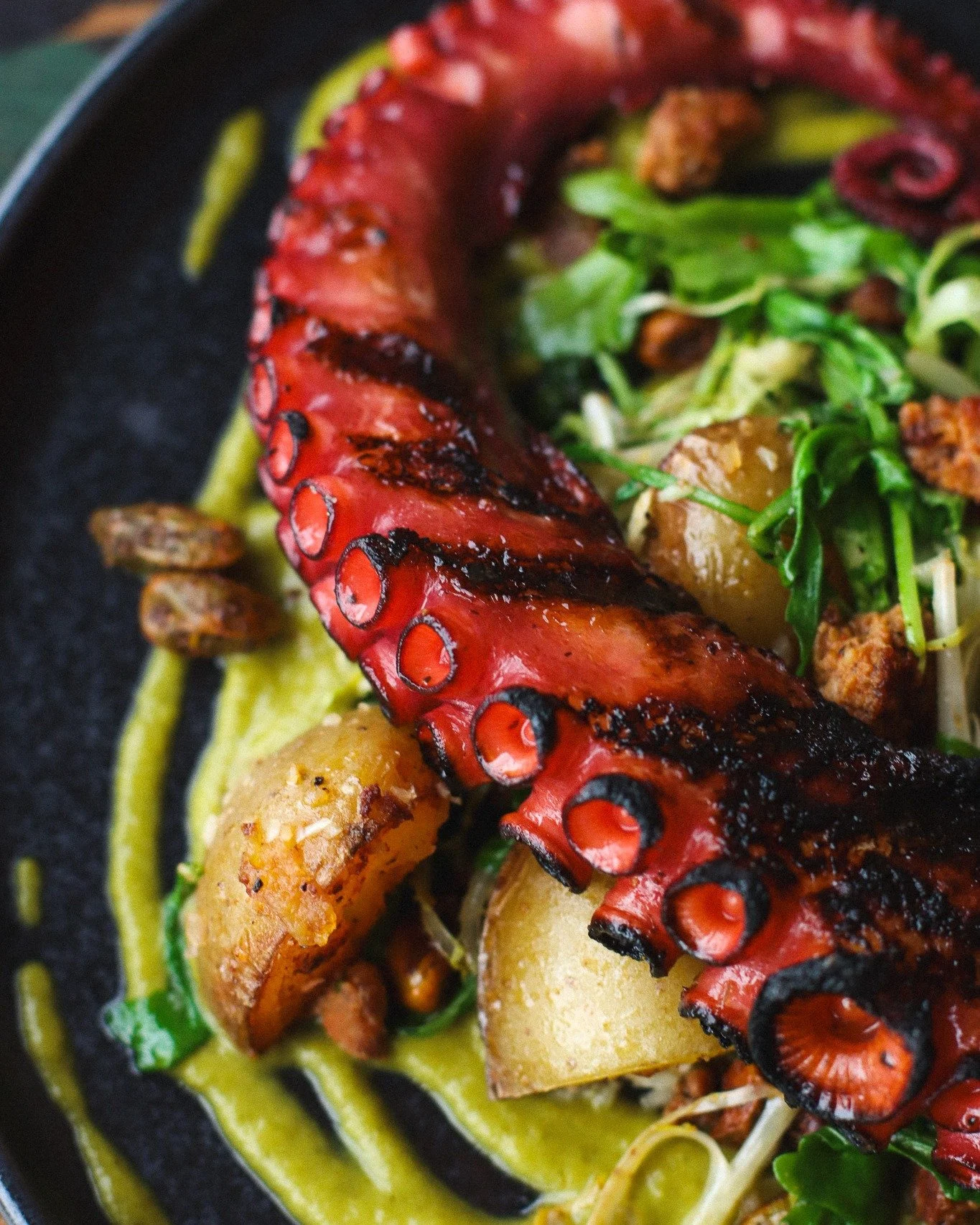 Charred Octopus. Crispy potatoes. Nduja heat. Tomatillo brightness.
A Rood staple.

See you for dinner.

😃 Happy Hour | 4:30pm - 6pm | 𝘞𝘦𝘥 - 𝘍𝘳𝘪
🍴 Dinner served til 9pm on Wed &amp; Thurs | 10pm on Fri &amp; Sat
🍳 Sunday Brunch | 10am ᴛᴏ 2pm