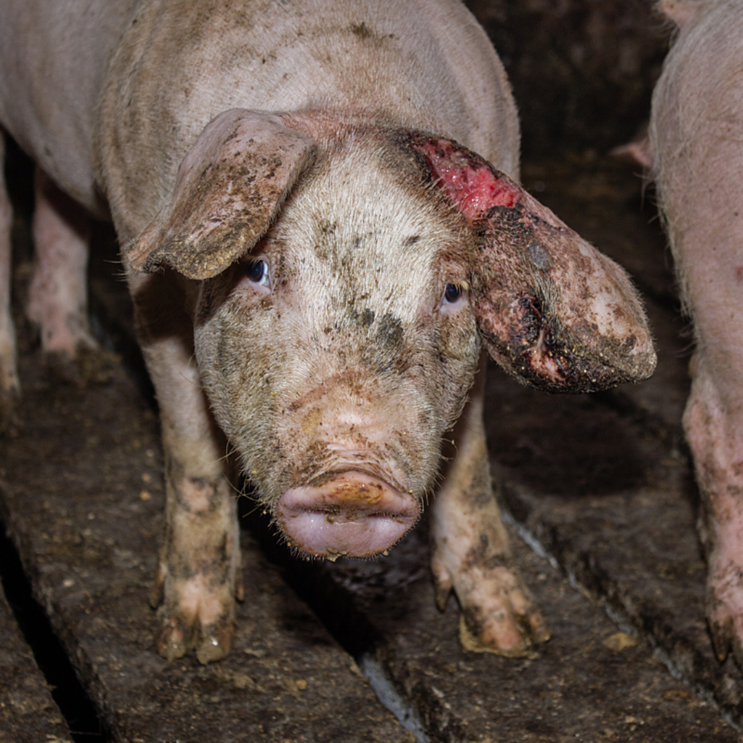 AI artwork: does it make a difference?