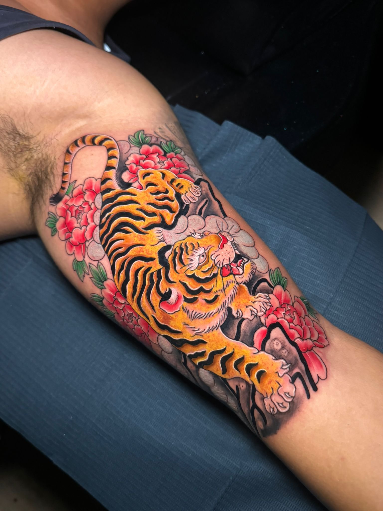 WhatsApp Image 2024-12-16 at 12.16.11 PM.jpeg