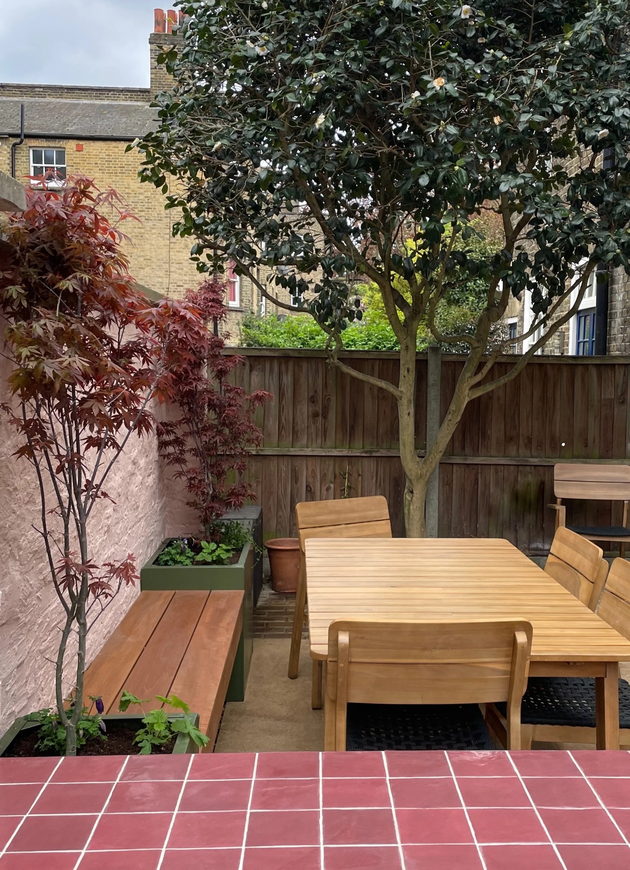 Japanese Maple Courtyard