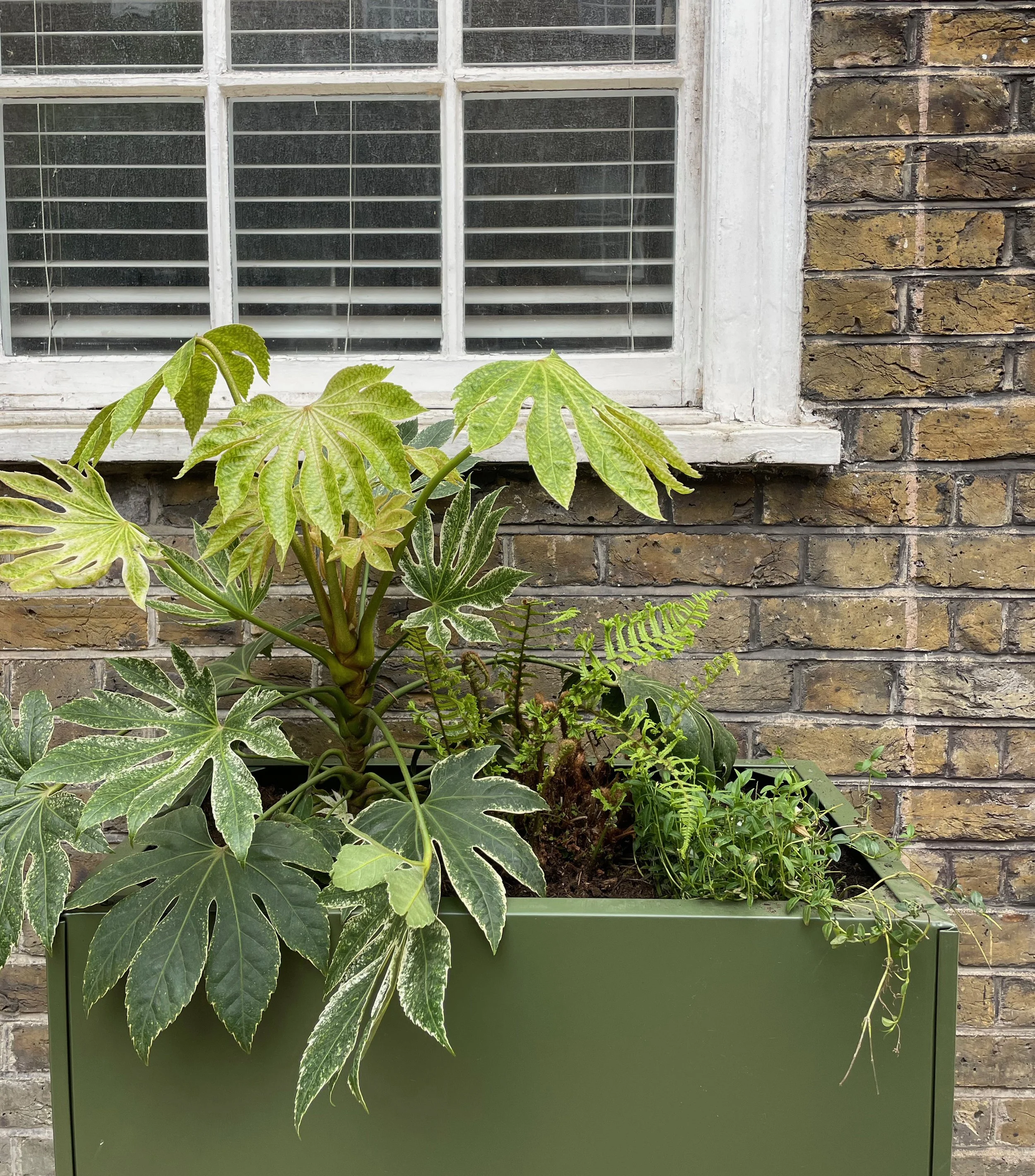 South London courtyard bespoke planters