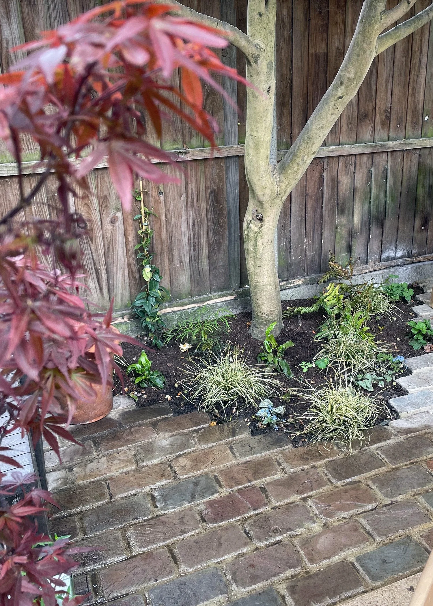 South London courtyard paving and planting