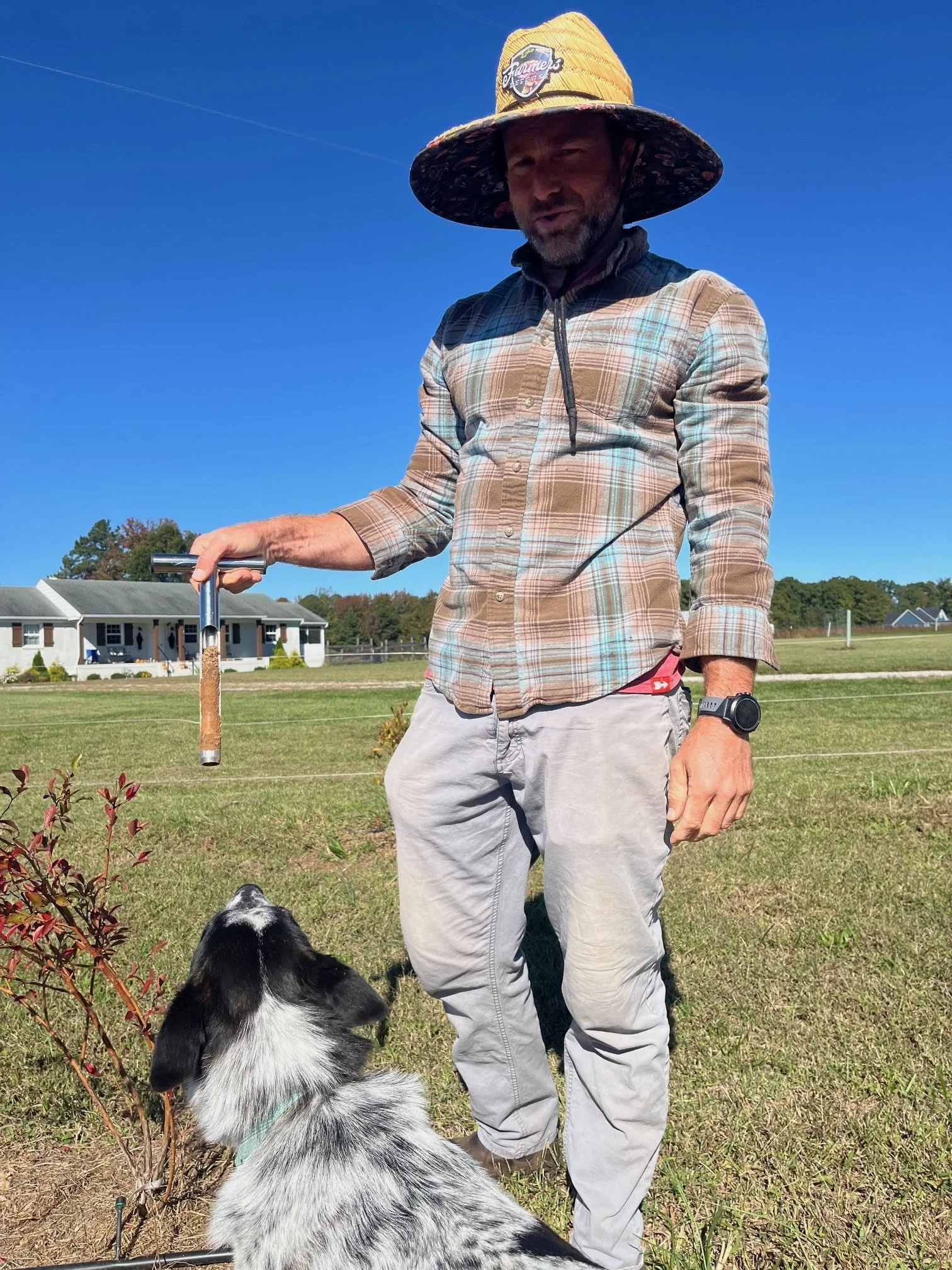 Soil test recommendations