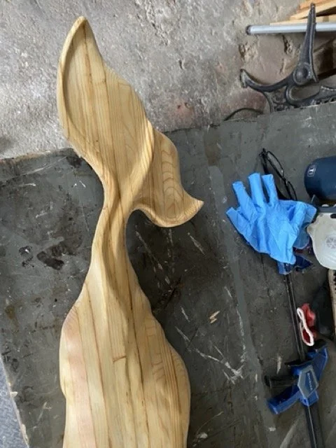 IMG_9886 2 Medium.jpeg