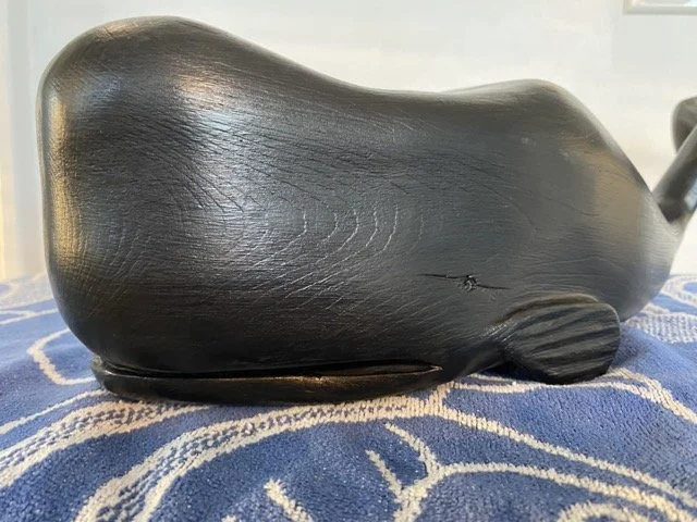 IMG_0486 2 Medium.jpeg