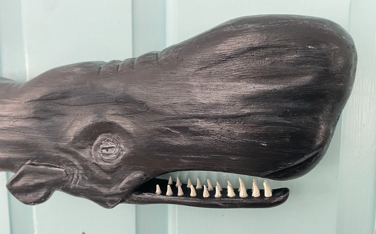 SD Whale Head.jpg