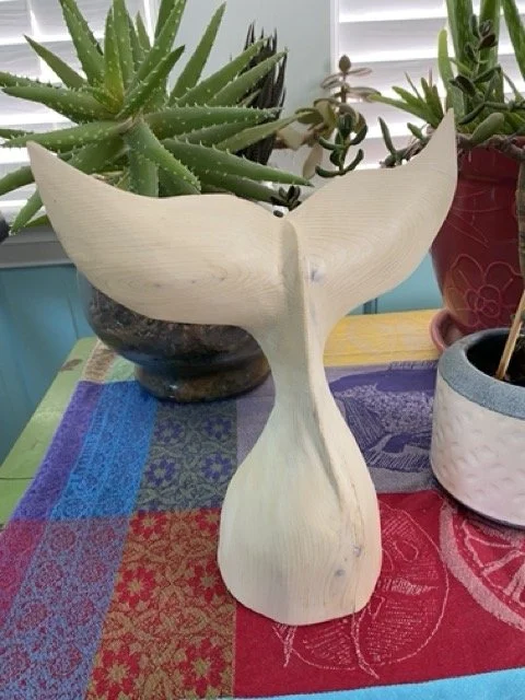 IMG_9048 3 Medium.jpeg