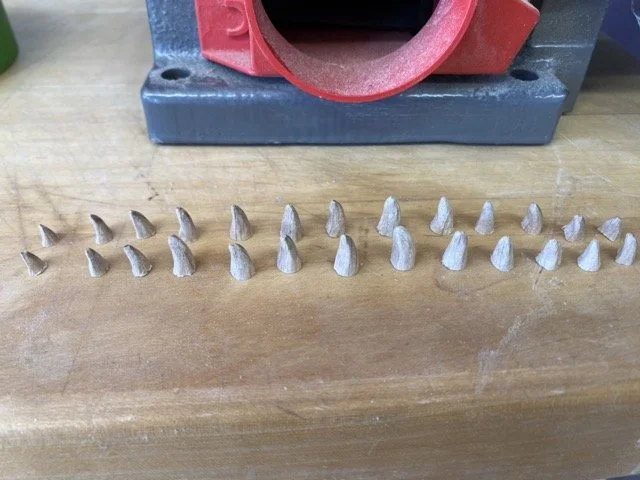 IMG_9895 Medium.jpeg