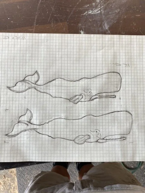 IMG_9841 Medium.jpeg