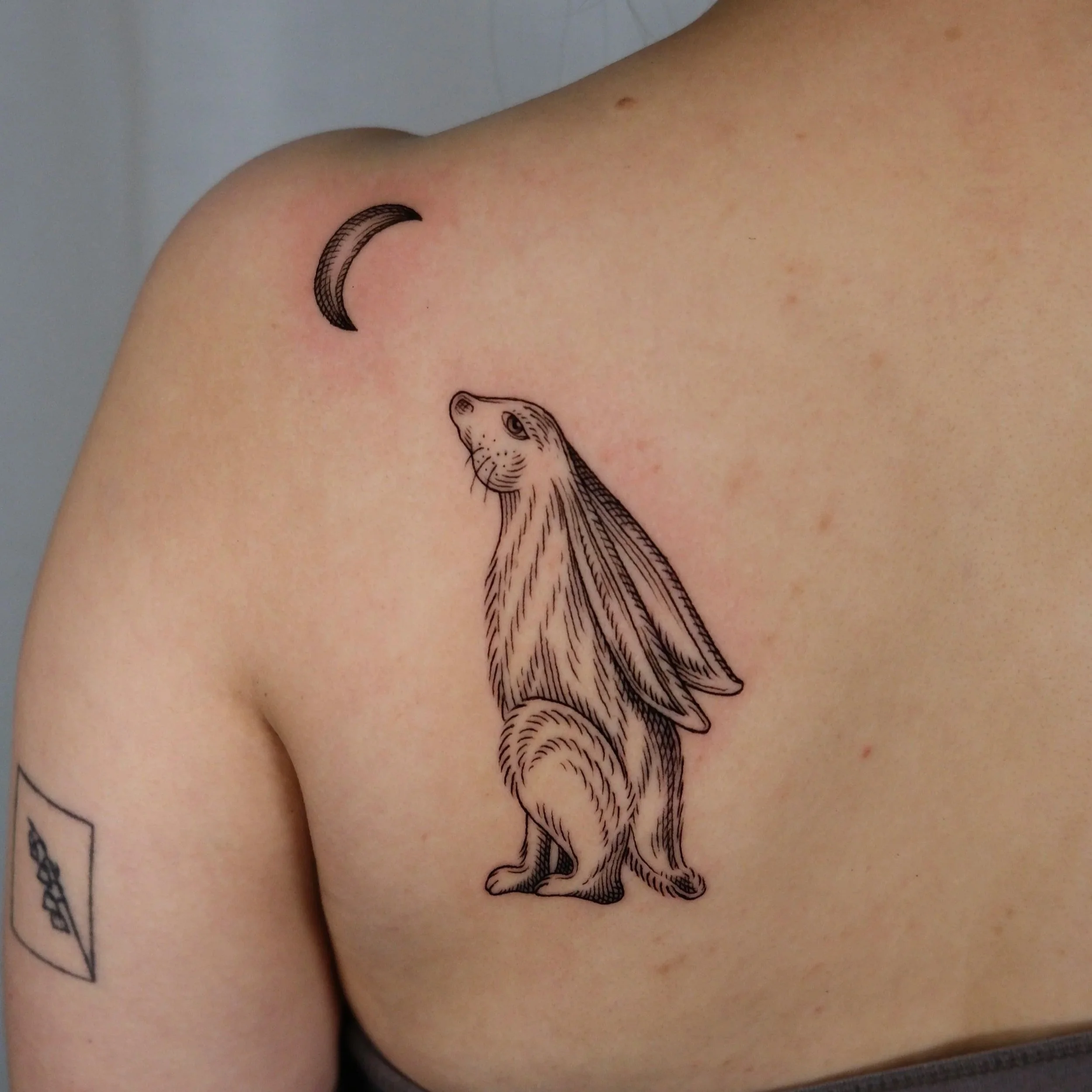 DSCF4374.jpg