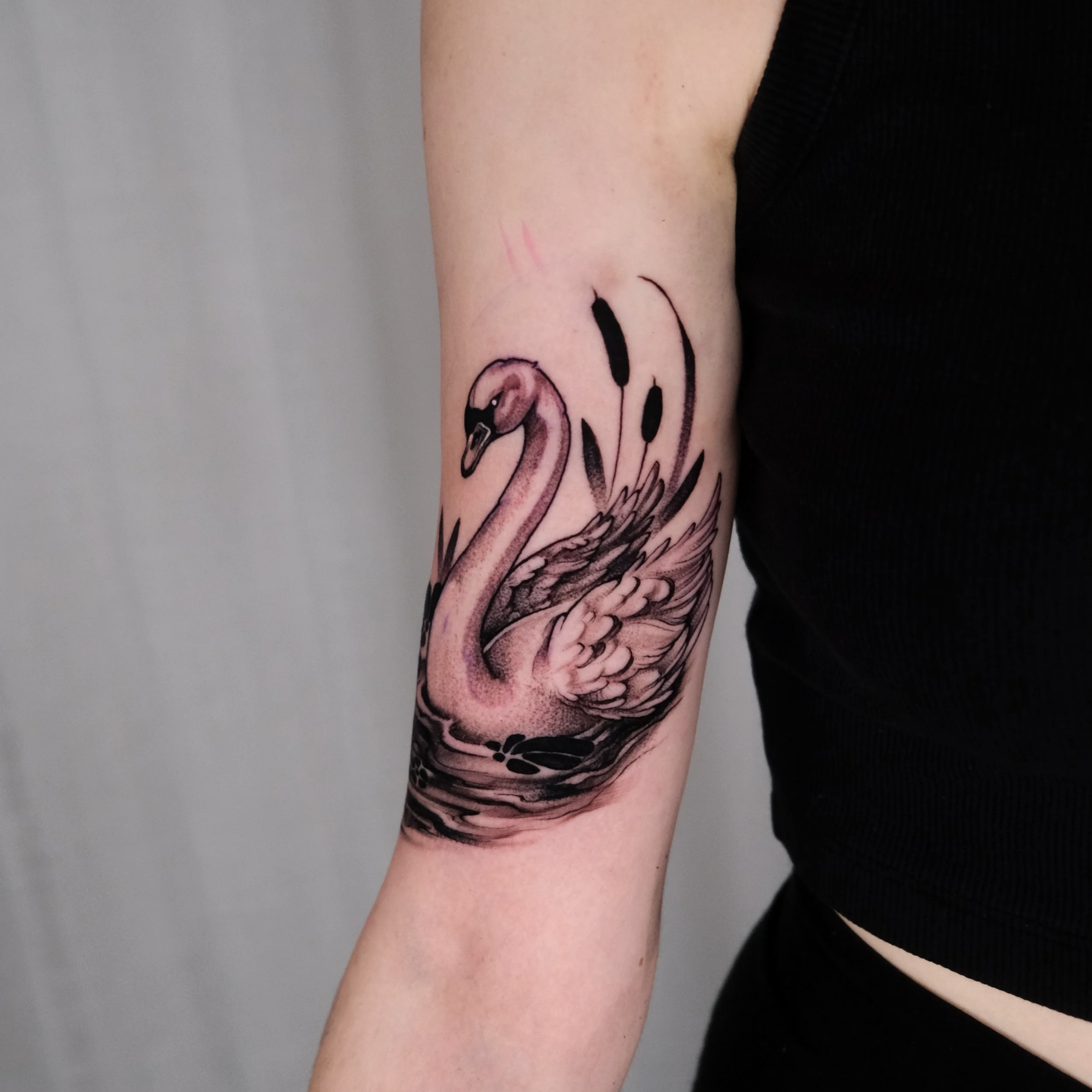 swan tattoo
