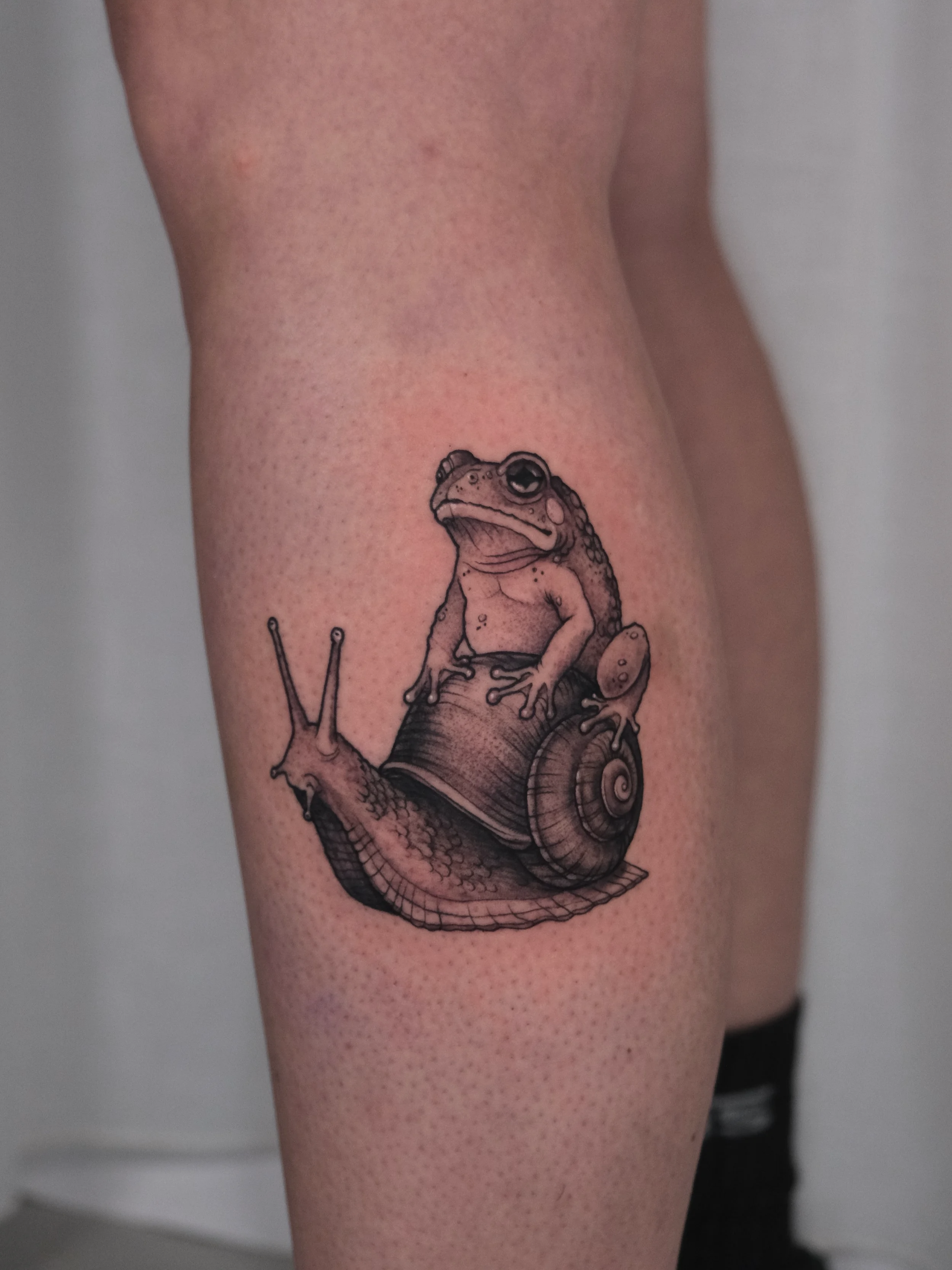frog with snail