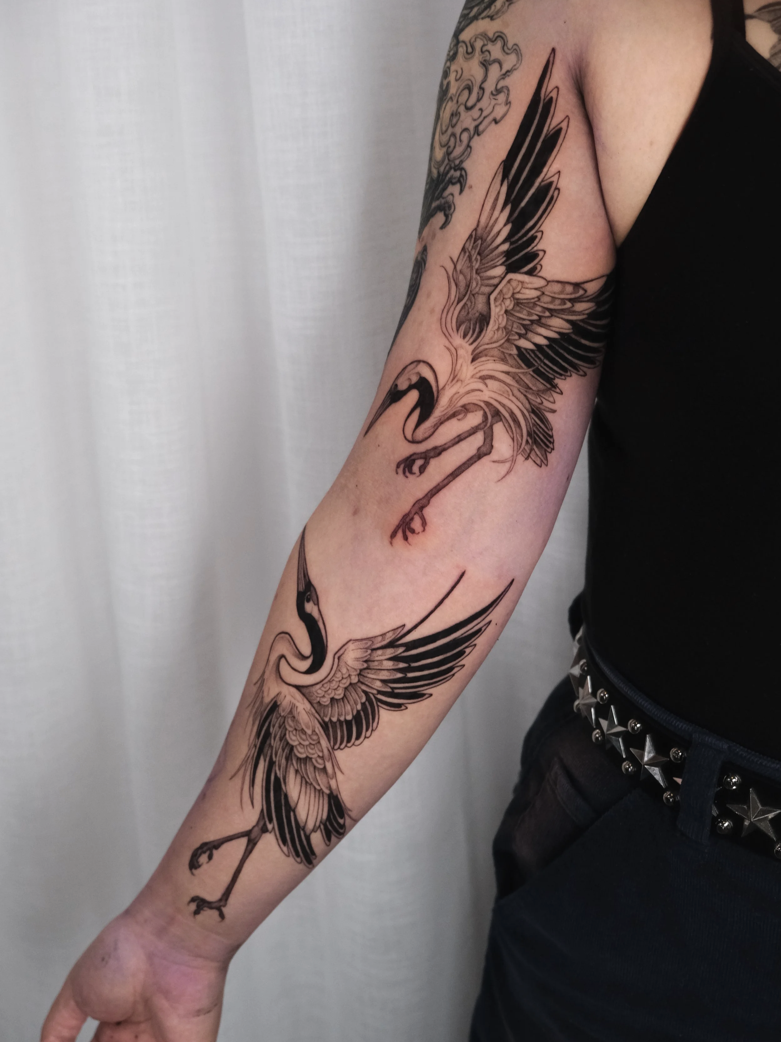 two crane birds