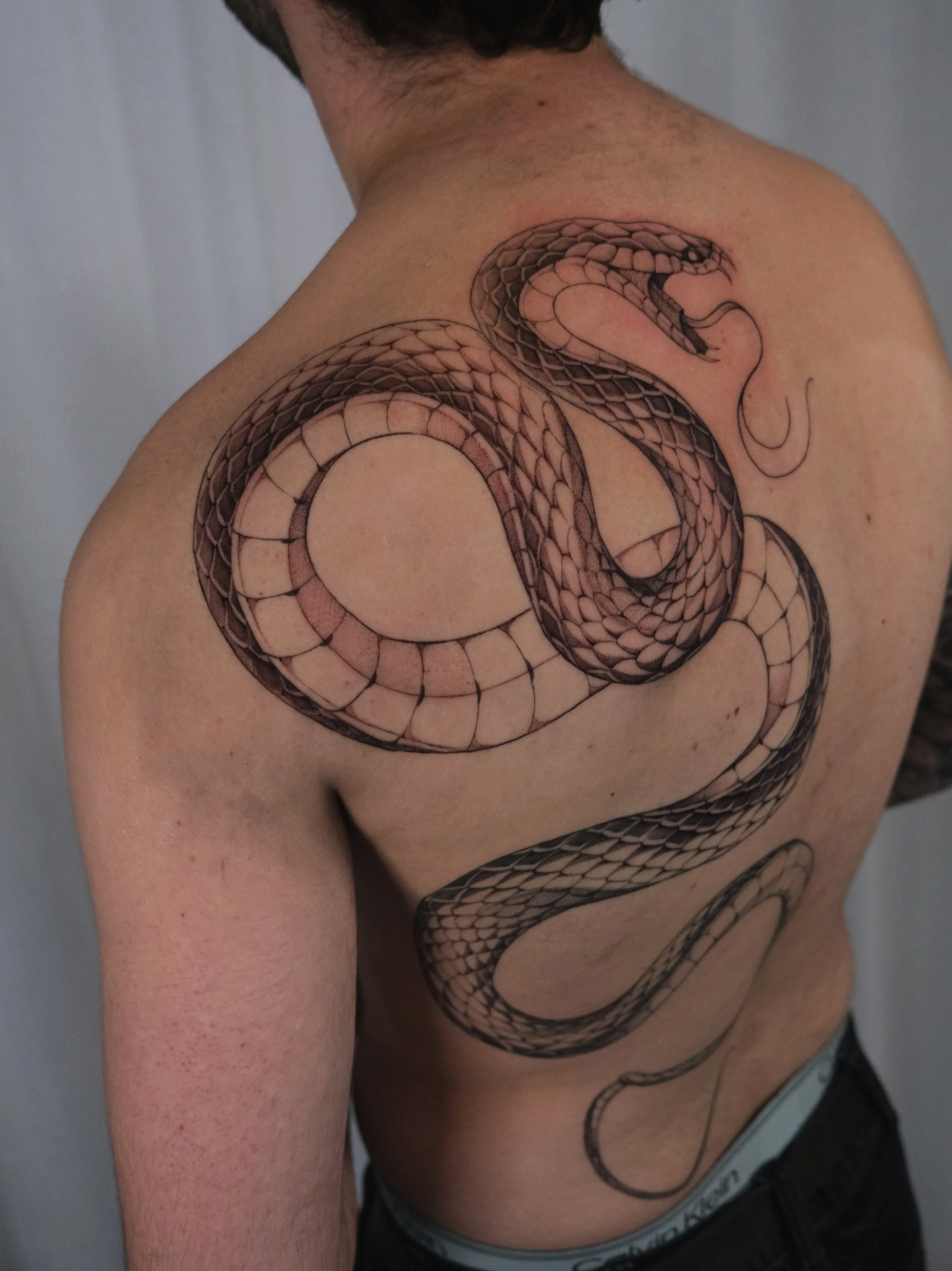 snake tattoo