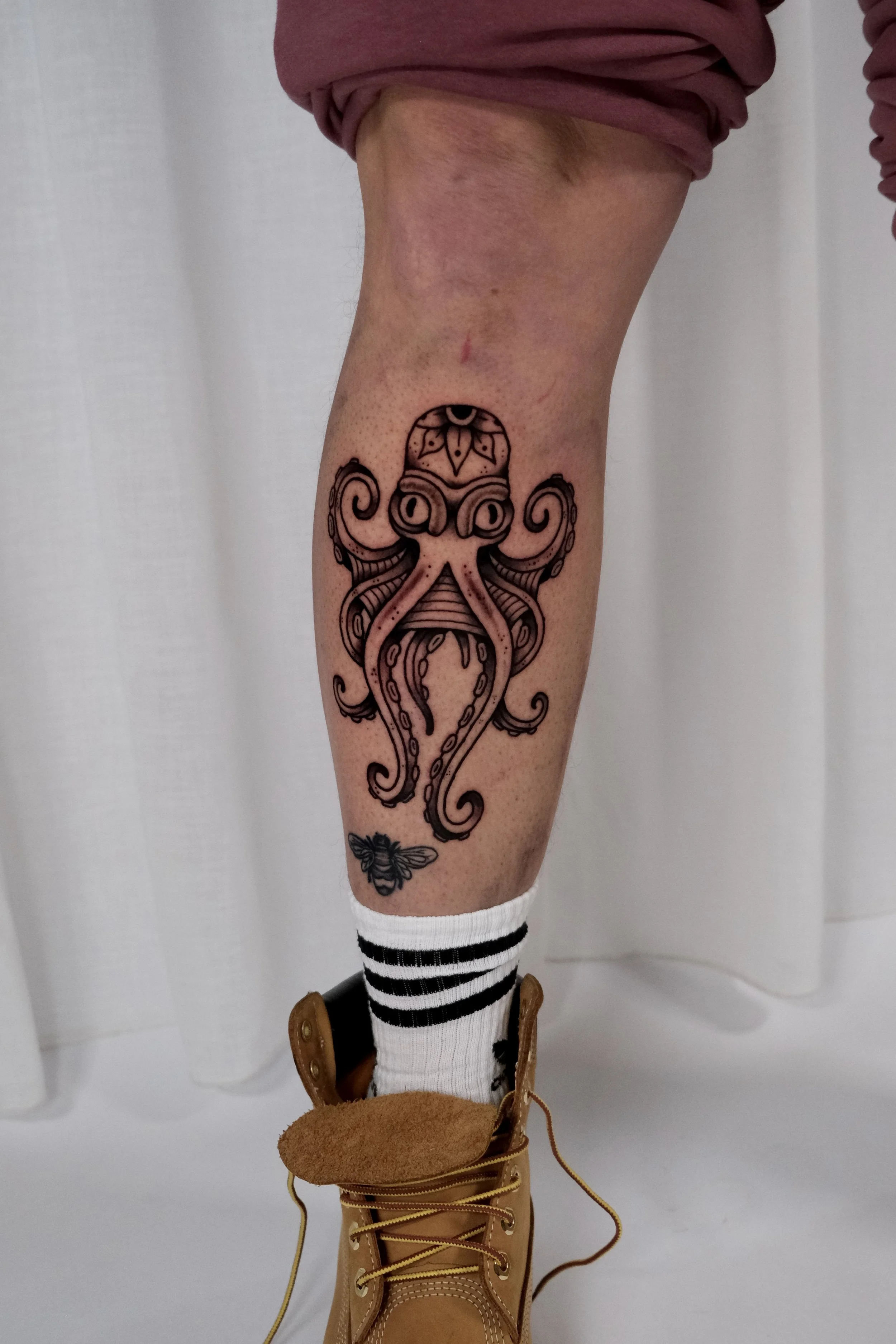 inktvis