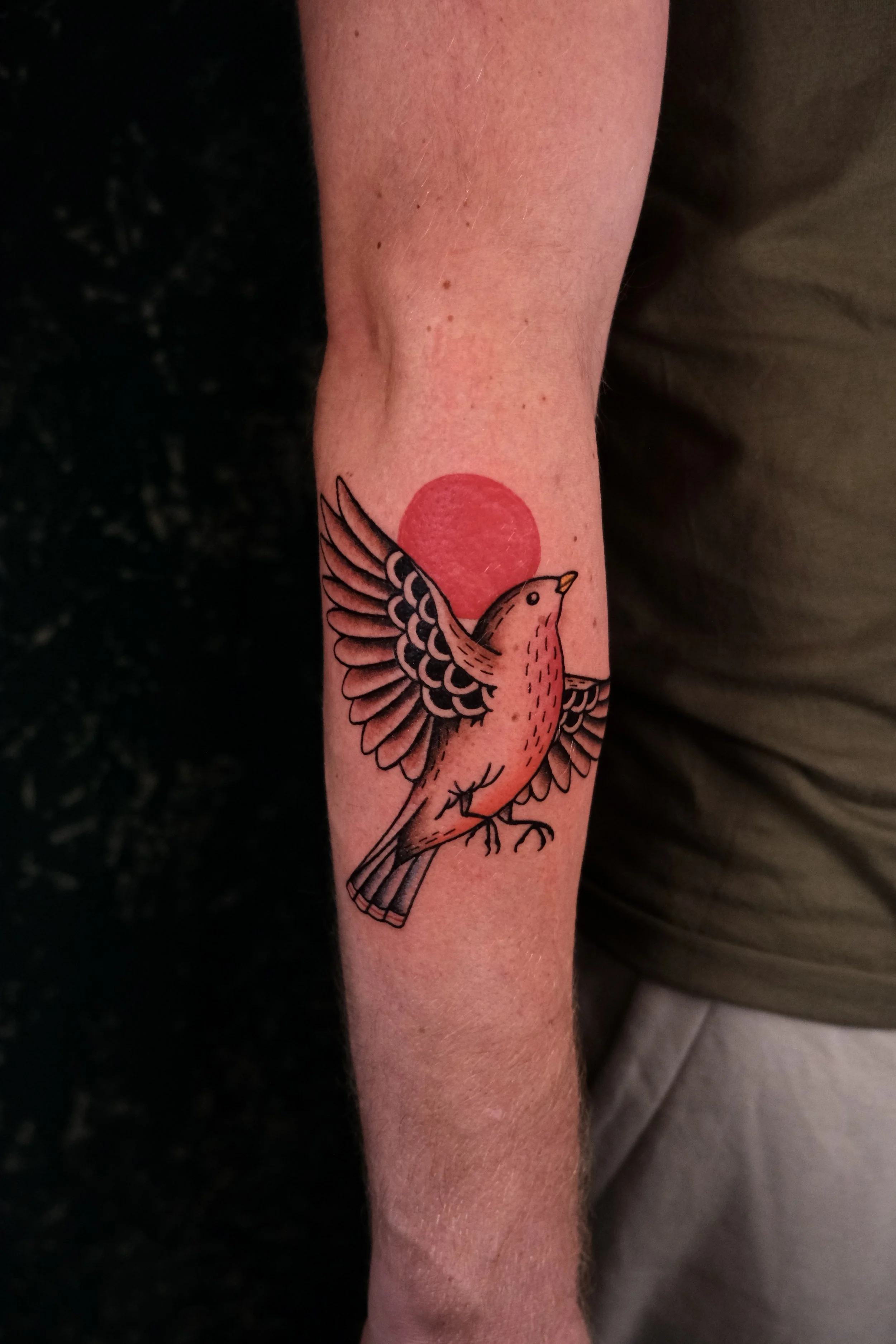 vogel kleur