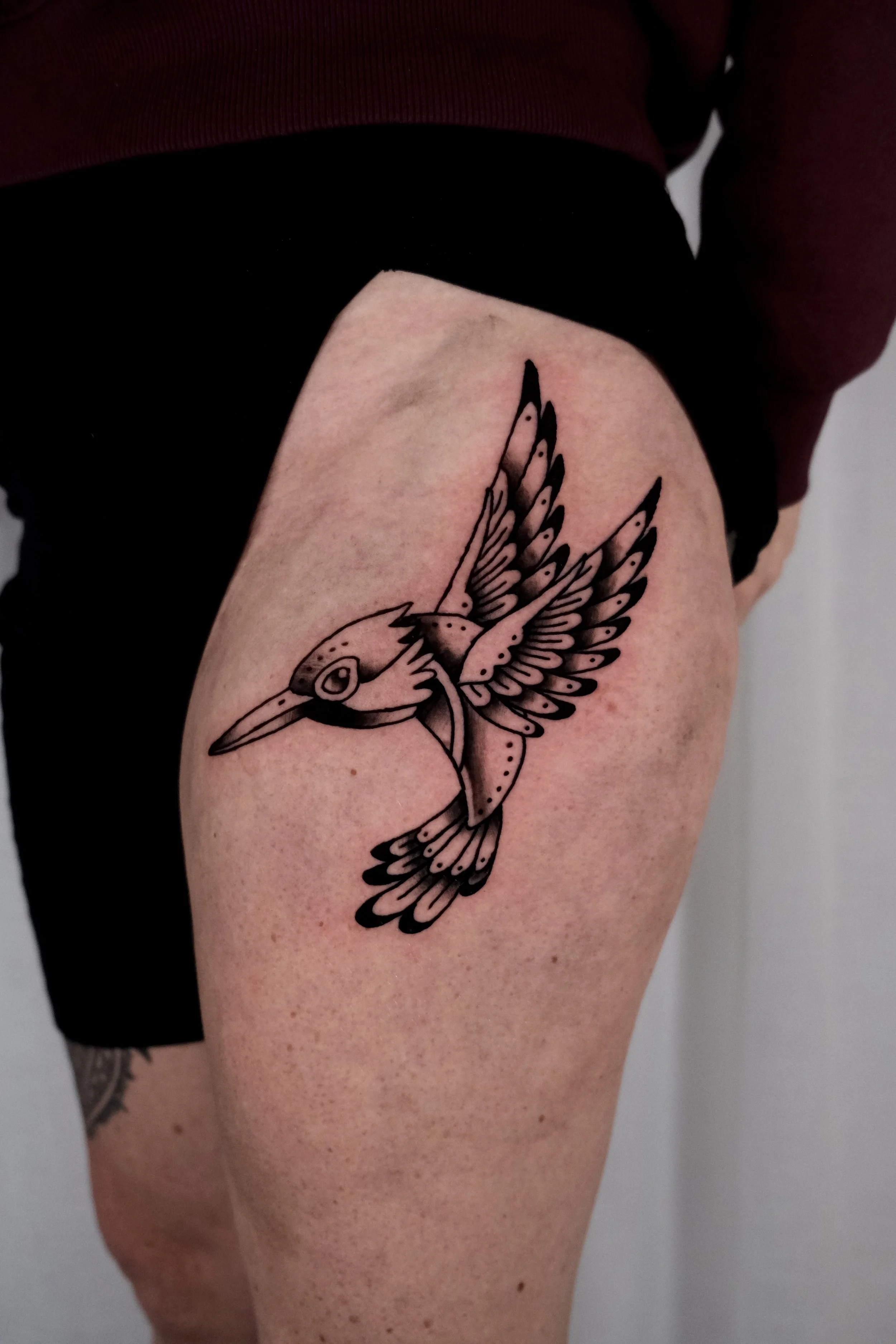 kingfisher