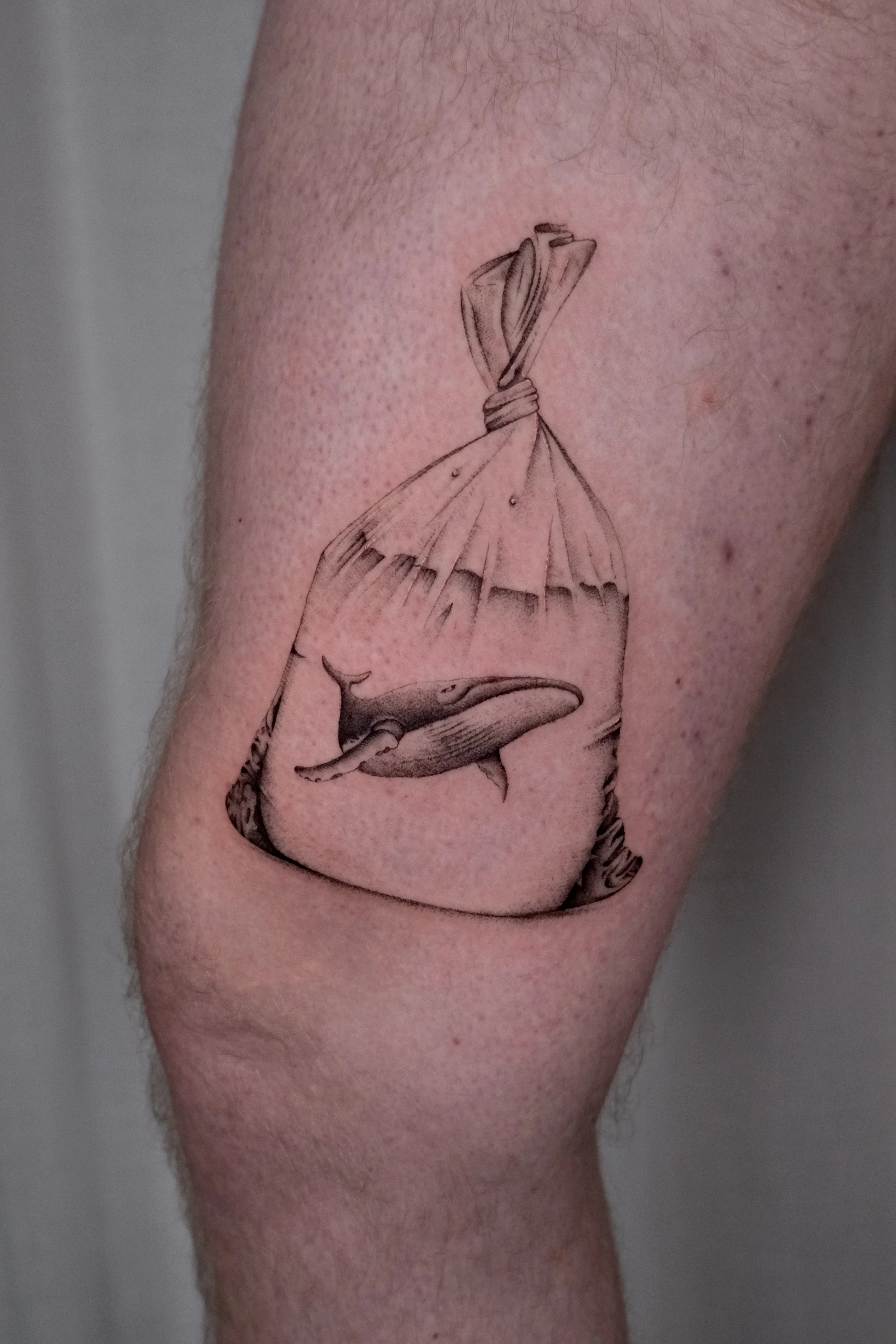 walvis tattoo