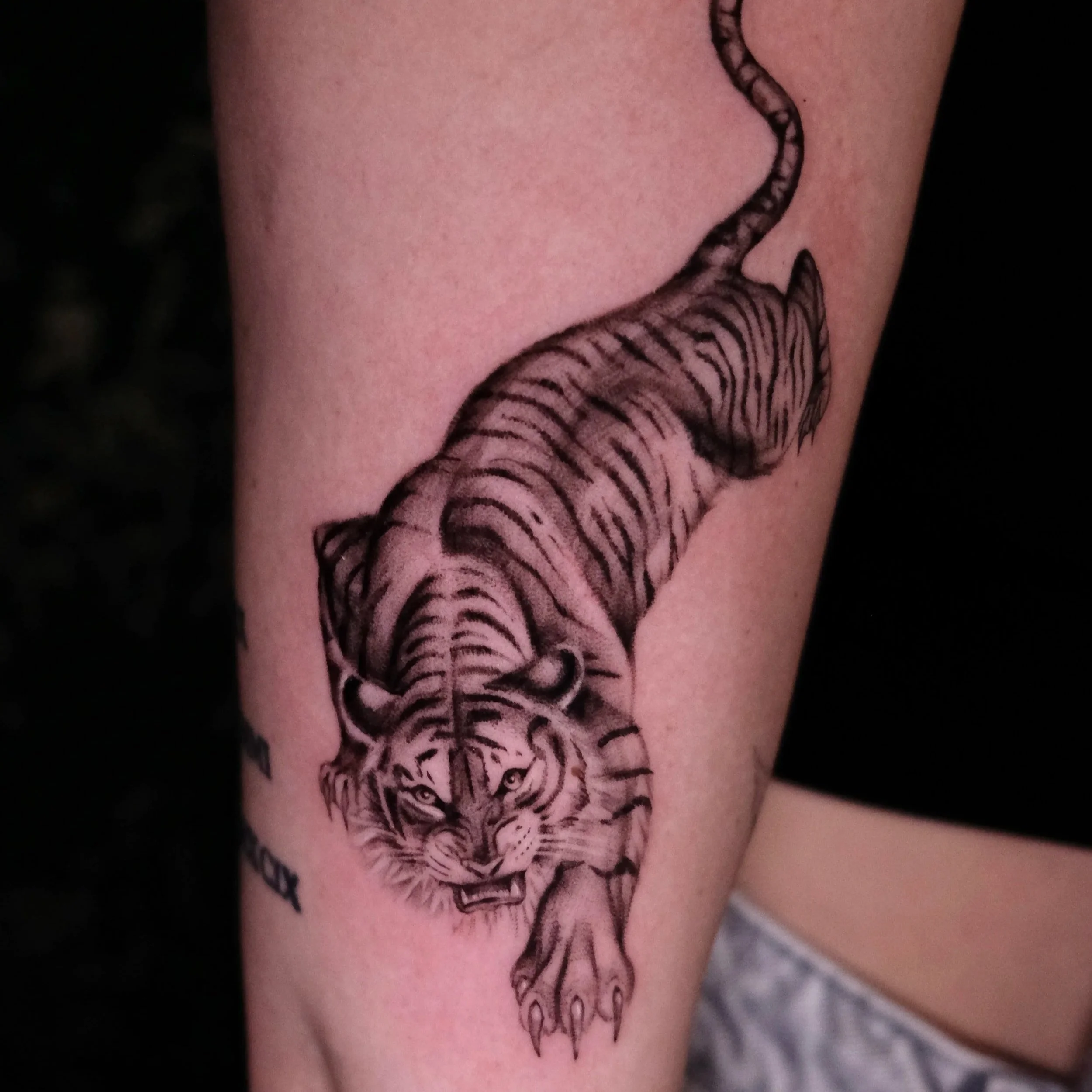 realistische jagende tijger tattoo
