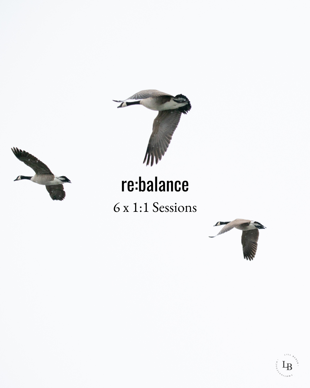 re:balance your emotion - private 1:1 Sessions