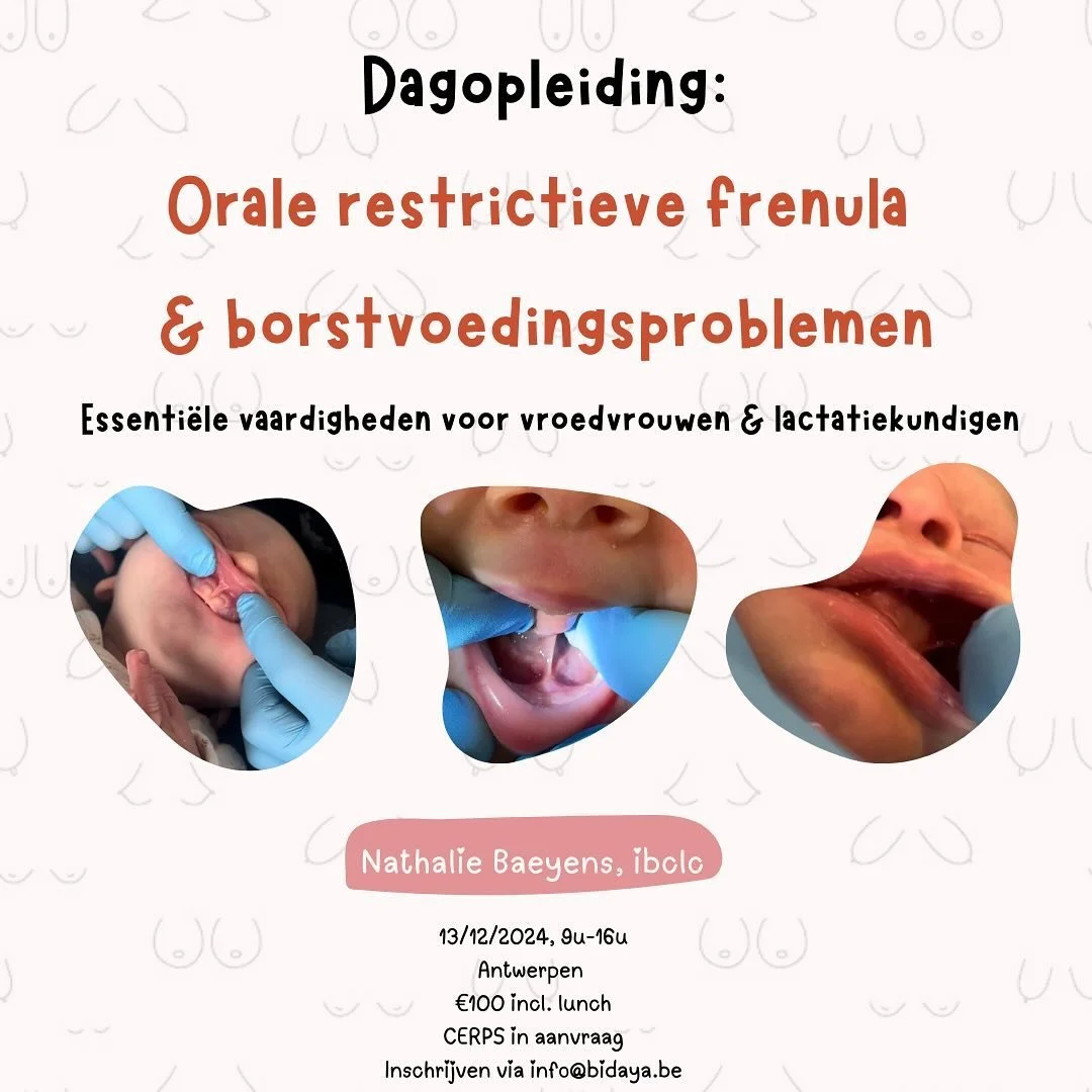 👅👅👅👅

Deze opleiding, gegeven door Nathalie Baeyens IBCLC, biedt je een unieke kans om meer inzicht te krijgen in orale restrictieve frenula (zoals lip- en tongriempjes) en hoe deze van invloed kunnen zijn op borstvoeding en mondmotoriek. Je leer