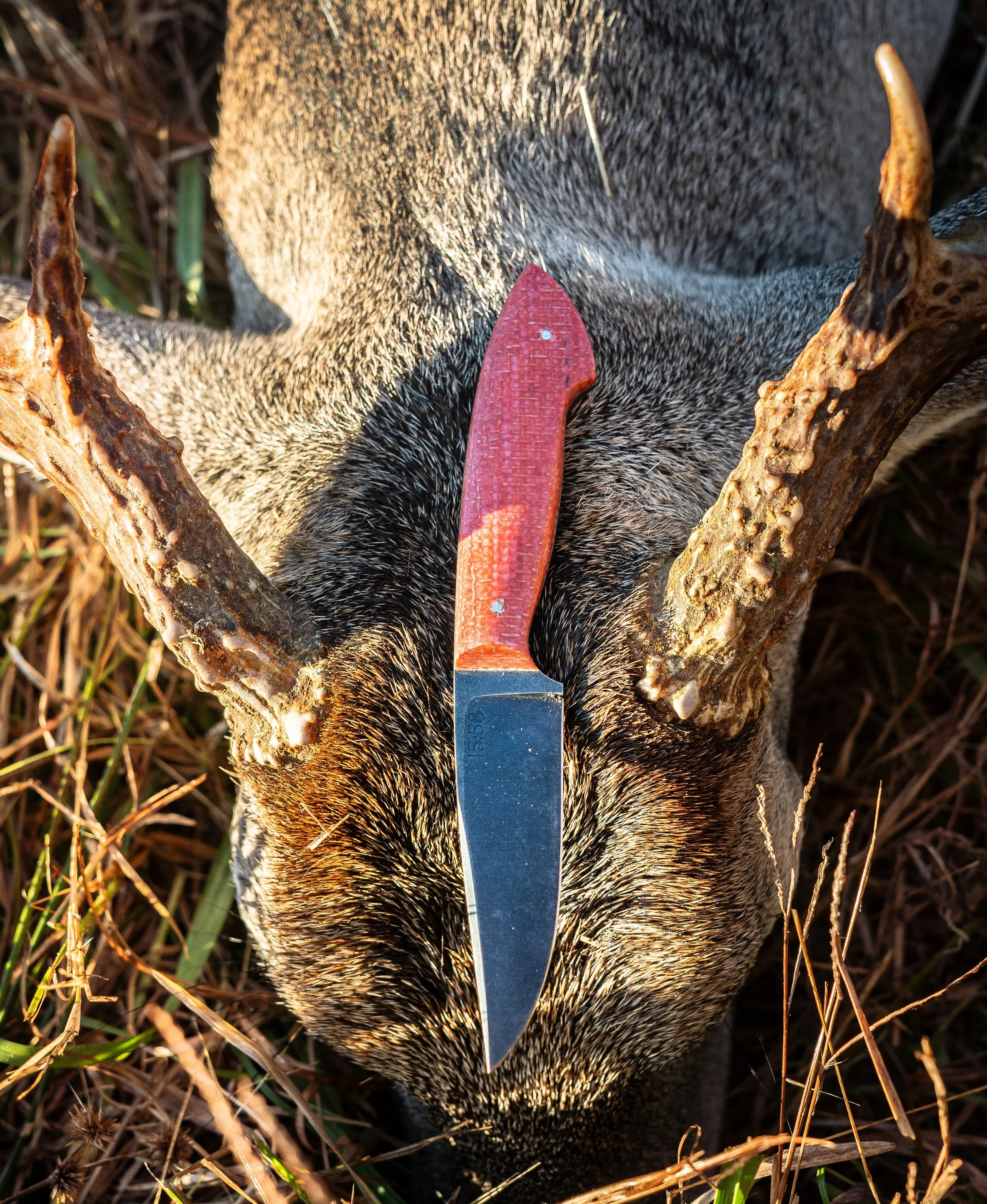 Dads Buck-5.jpg