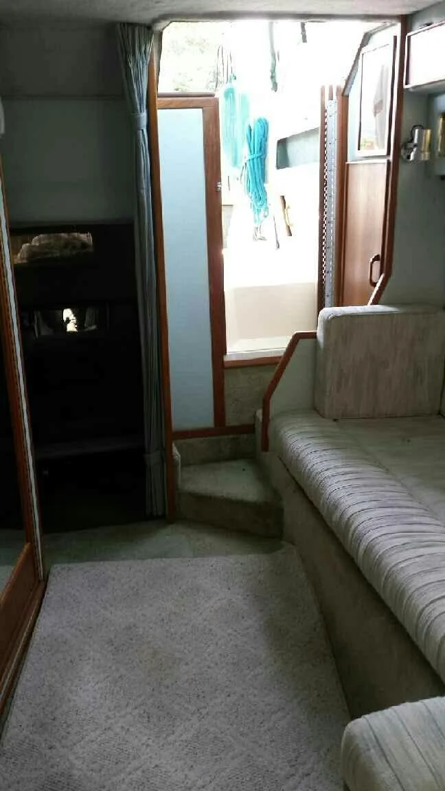 pic5.JPG
