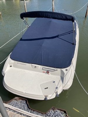 stingray 2.jpg